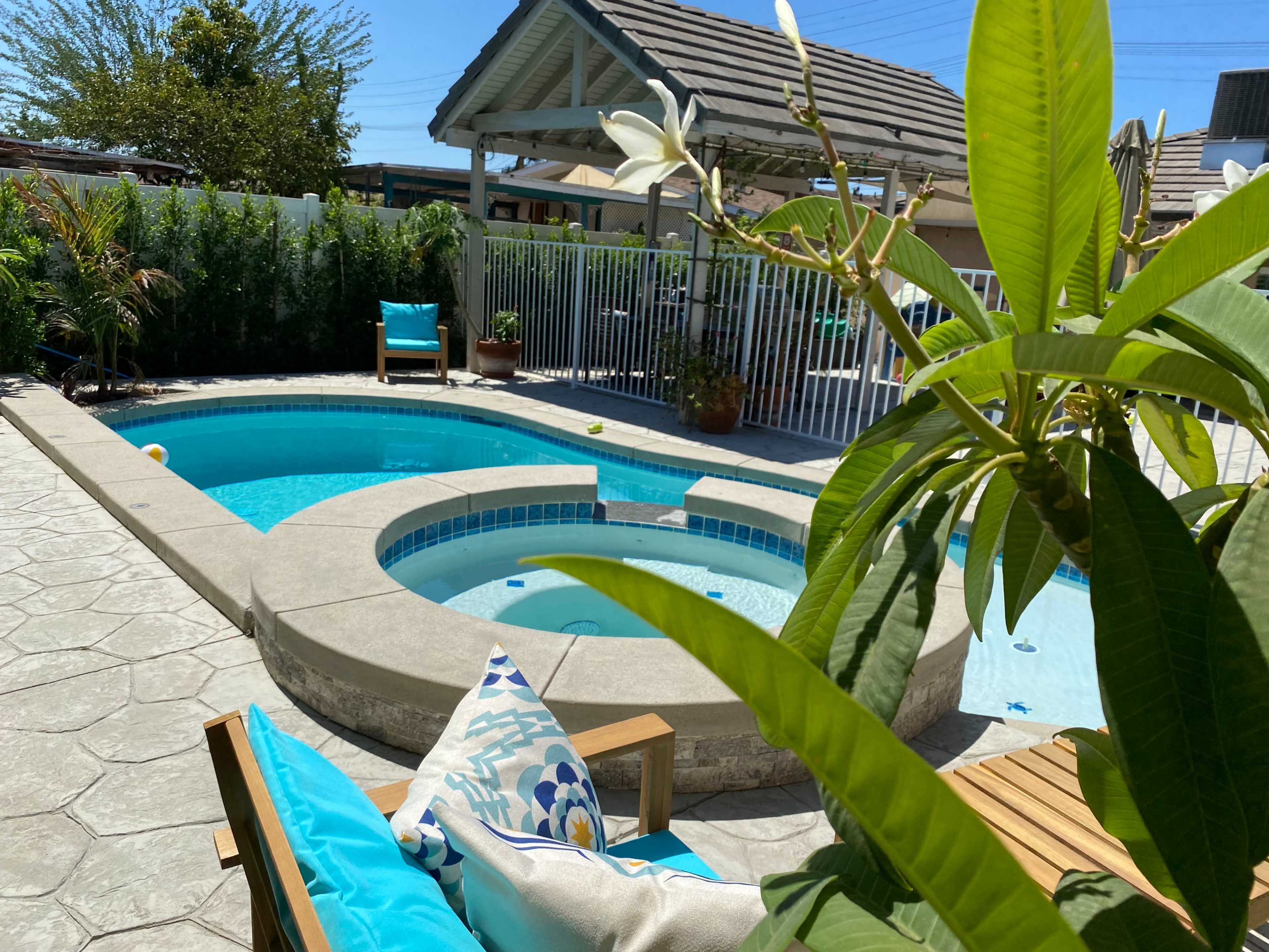 A backyard features a pool and spa area surrounded by plants and patio furniture under a clear sky.