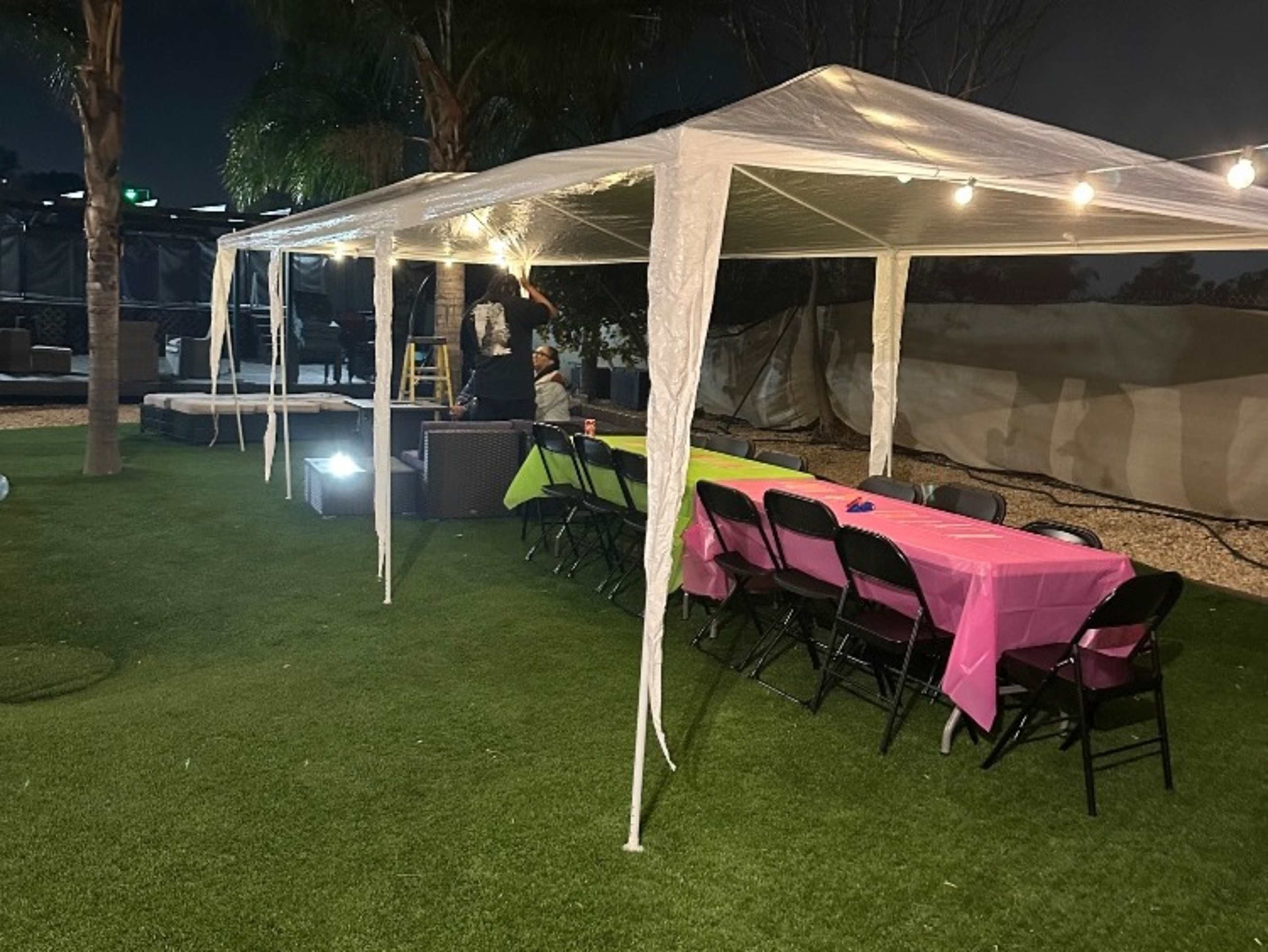 Canopy 10x30