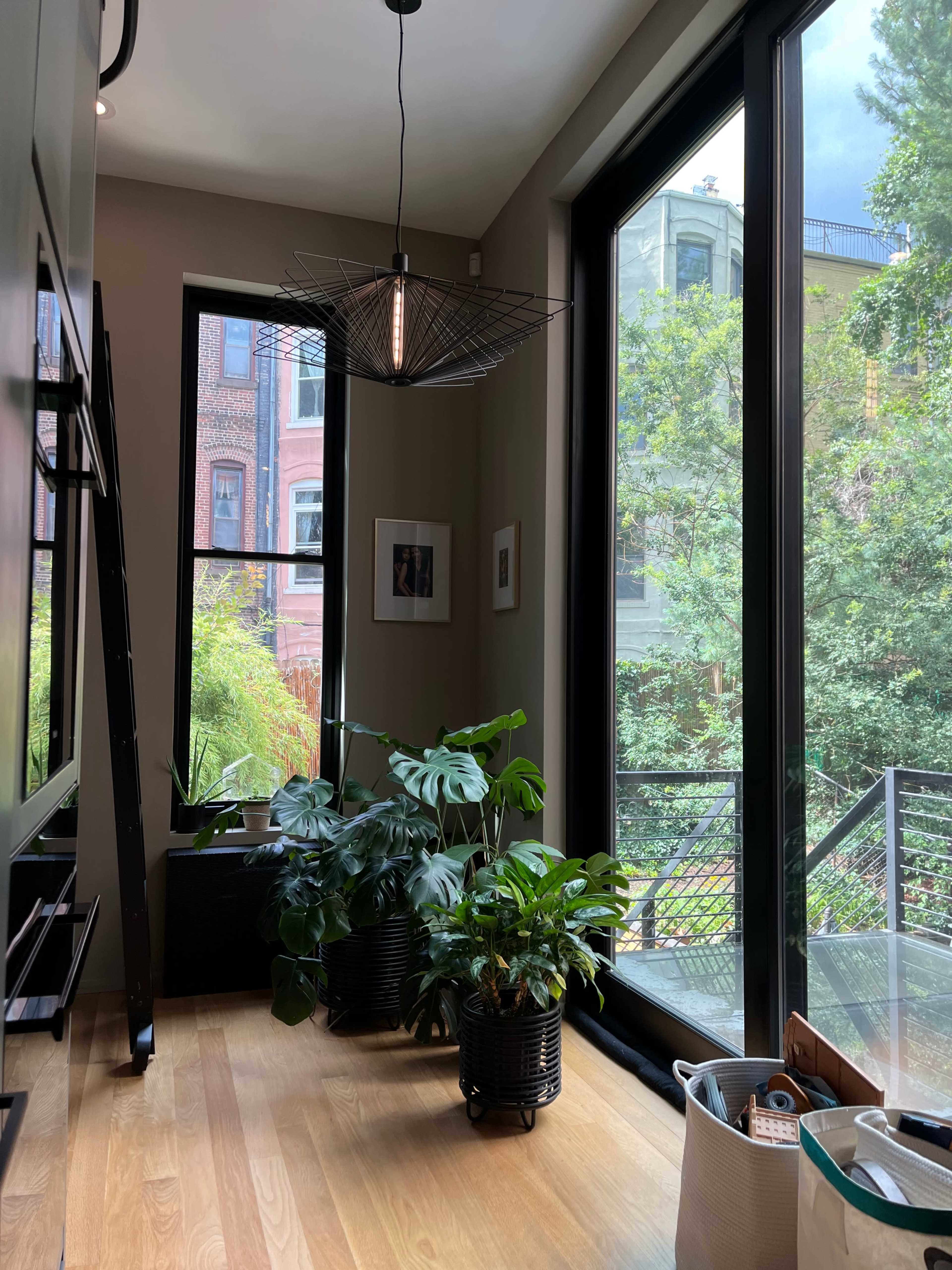 A modern interior with large windows, plants in black pots, and a minimalist light fixture overhead.