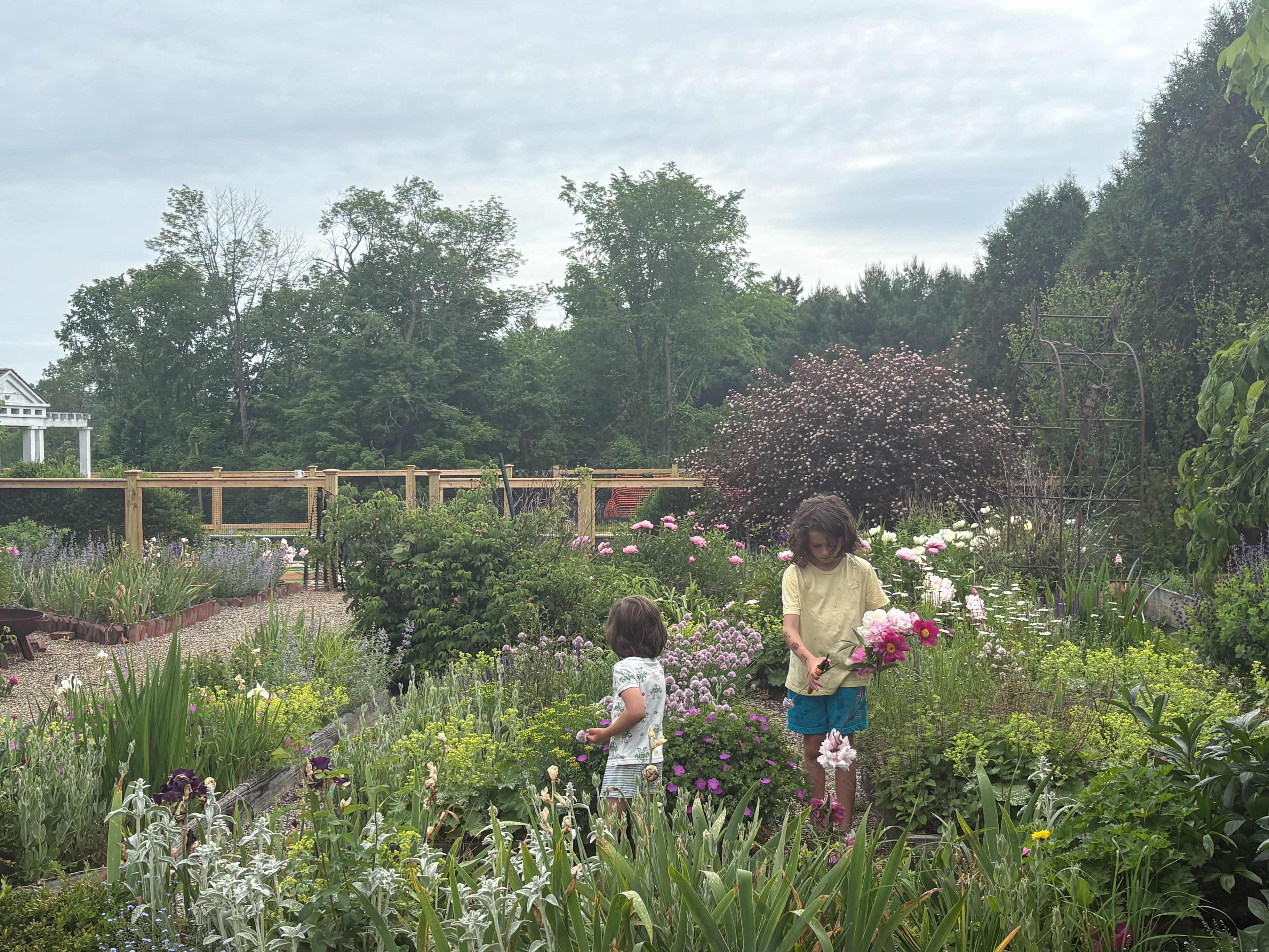 Two children are picking flowers in a lush garden filled with various plants and blooms.
