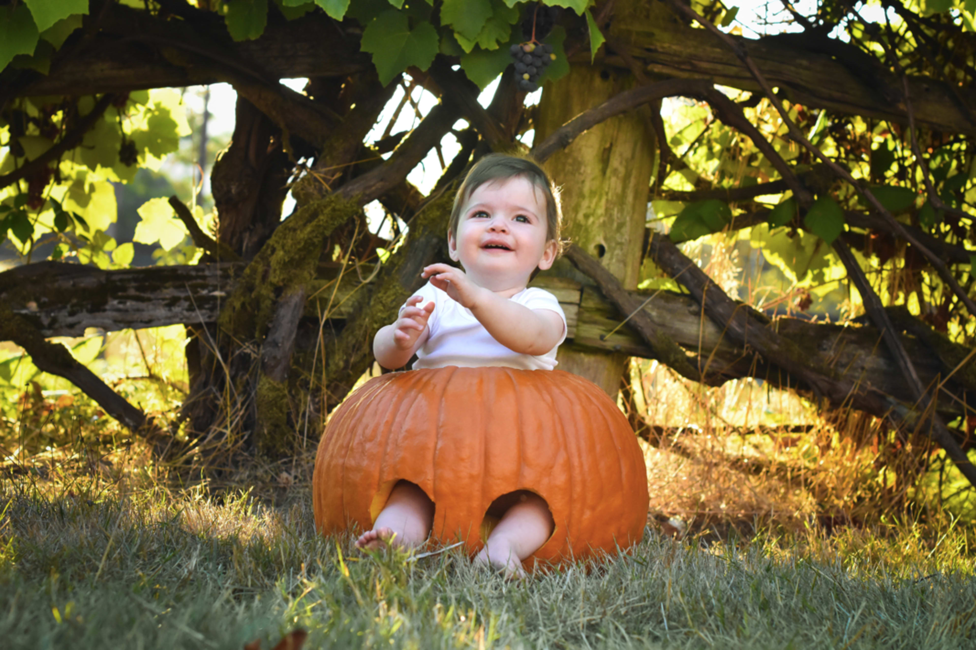 A baby sits inside a carved pumpkin in a garden setting, surrounded by greenery.