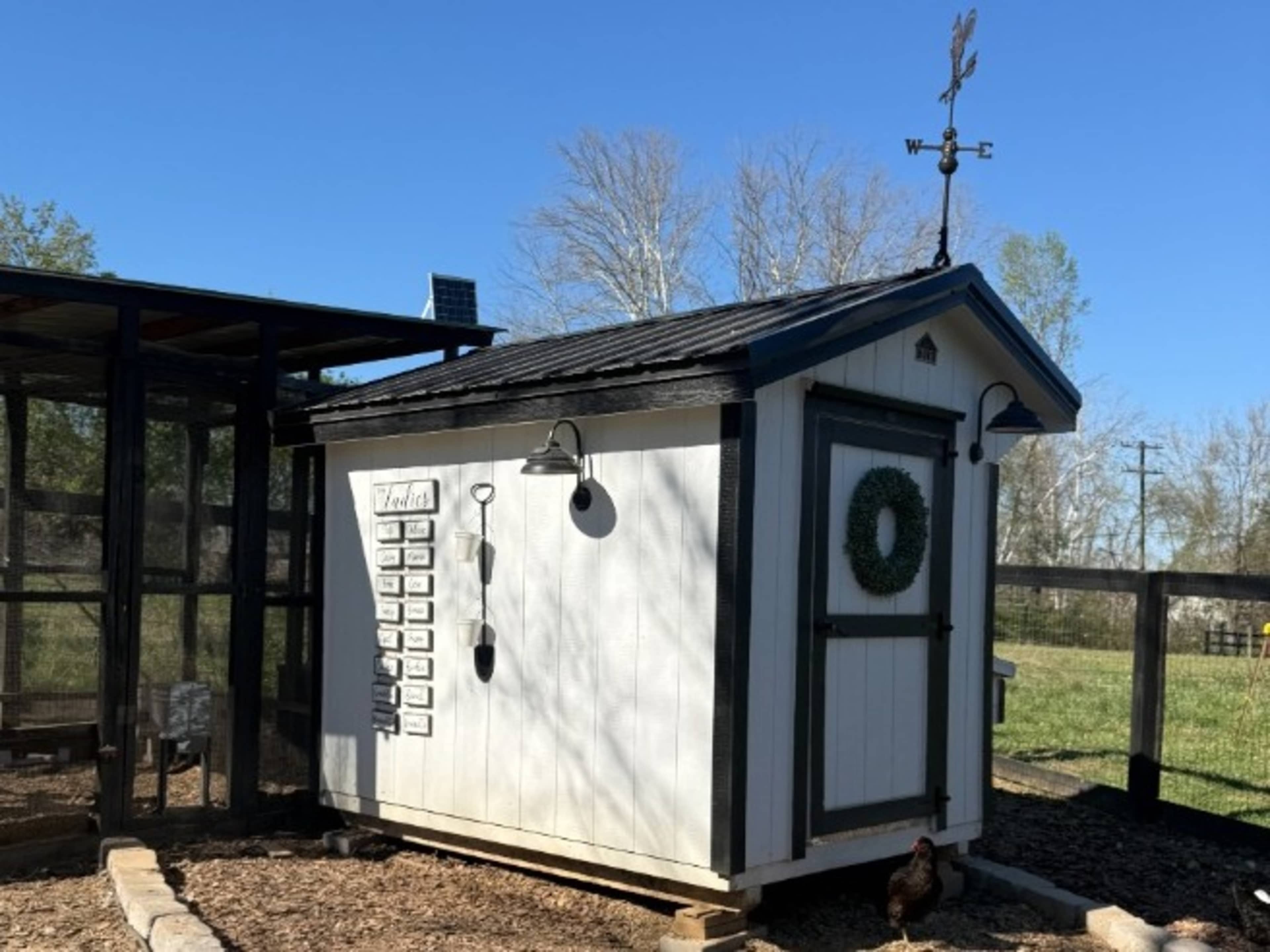🐓 Chicken Coop + Free-Range Chickens 