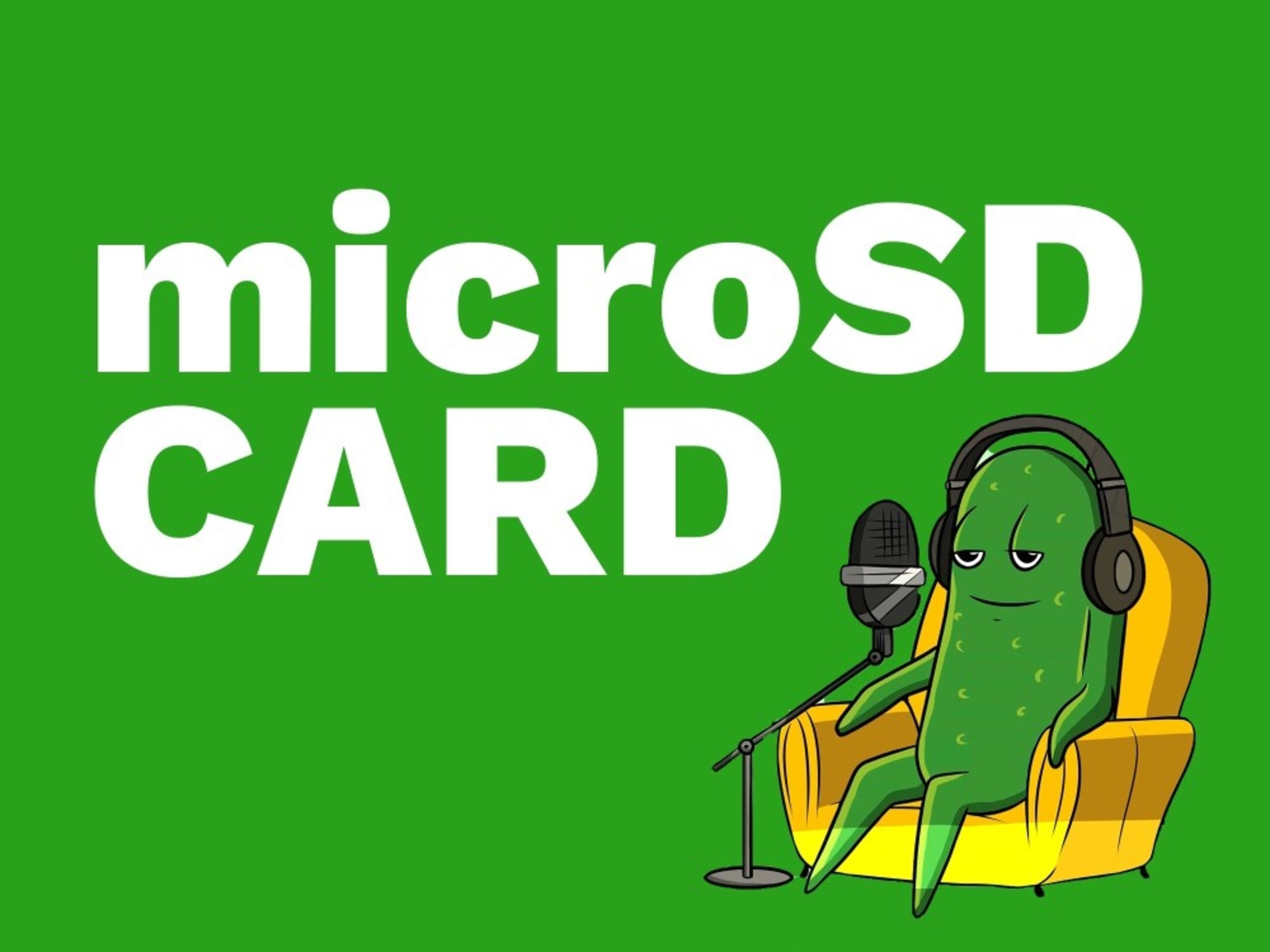 Micro SD Card - AUDIO