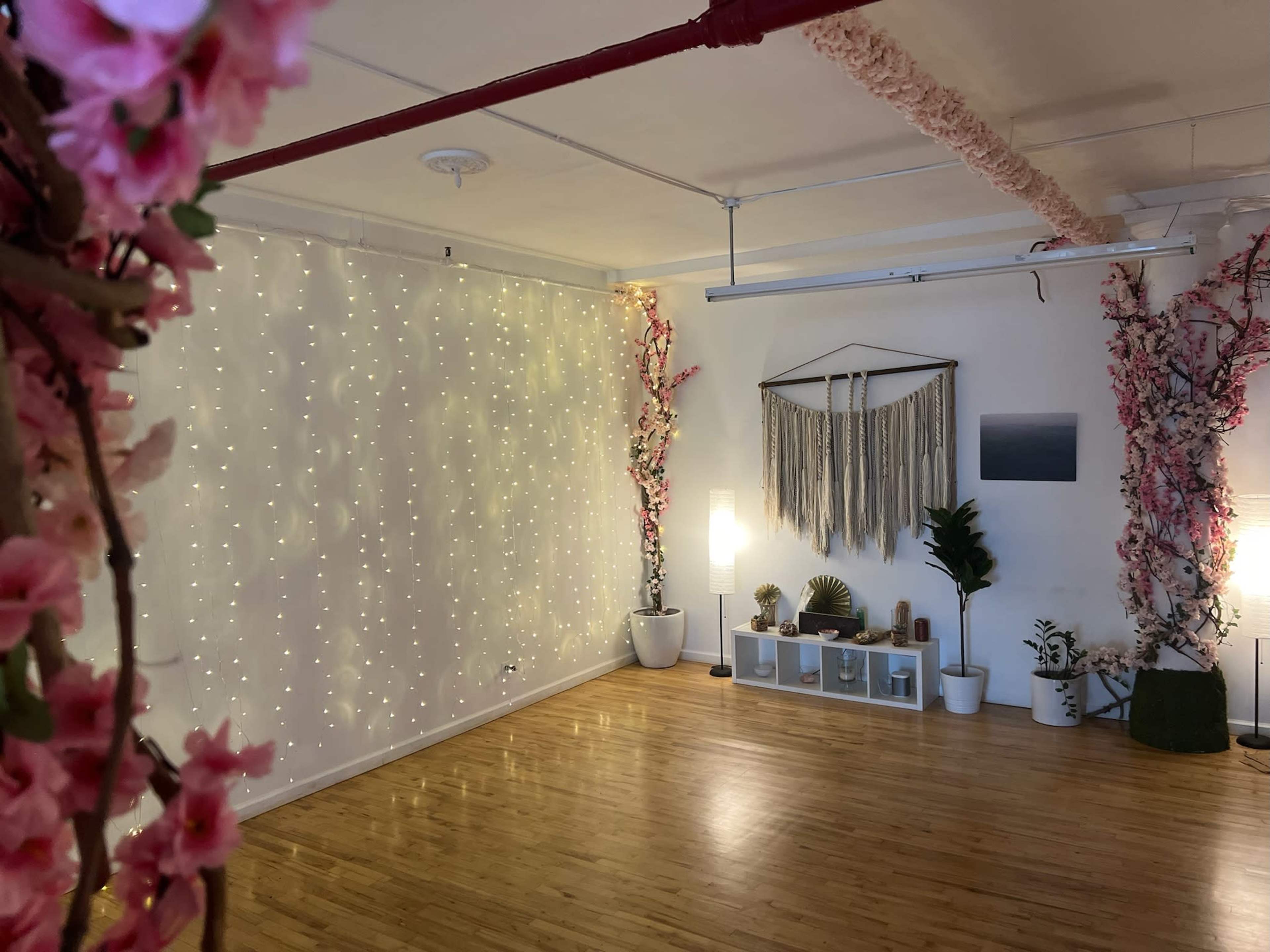 The image shows a spacious room with wooden flooring, adorned with decorative lights, floral accents, and various plants.