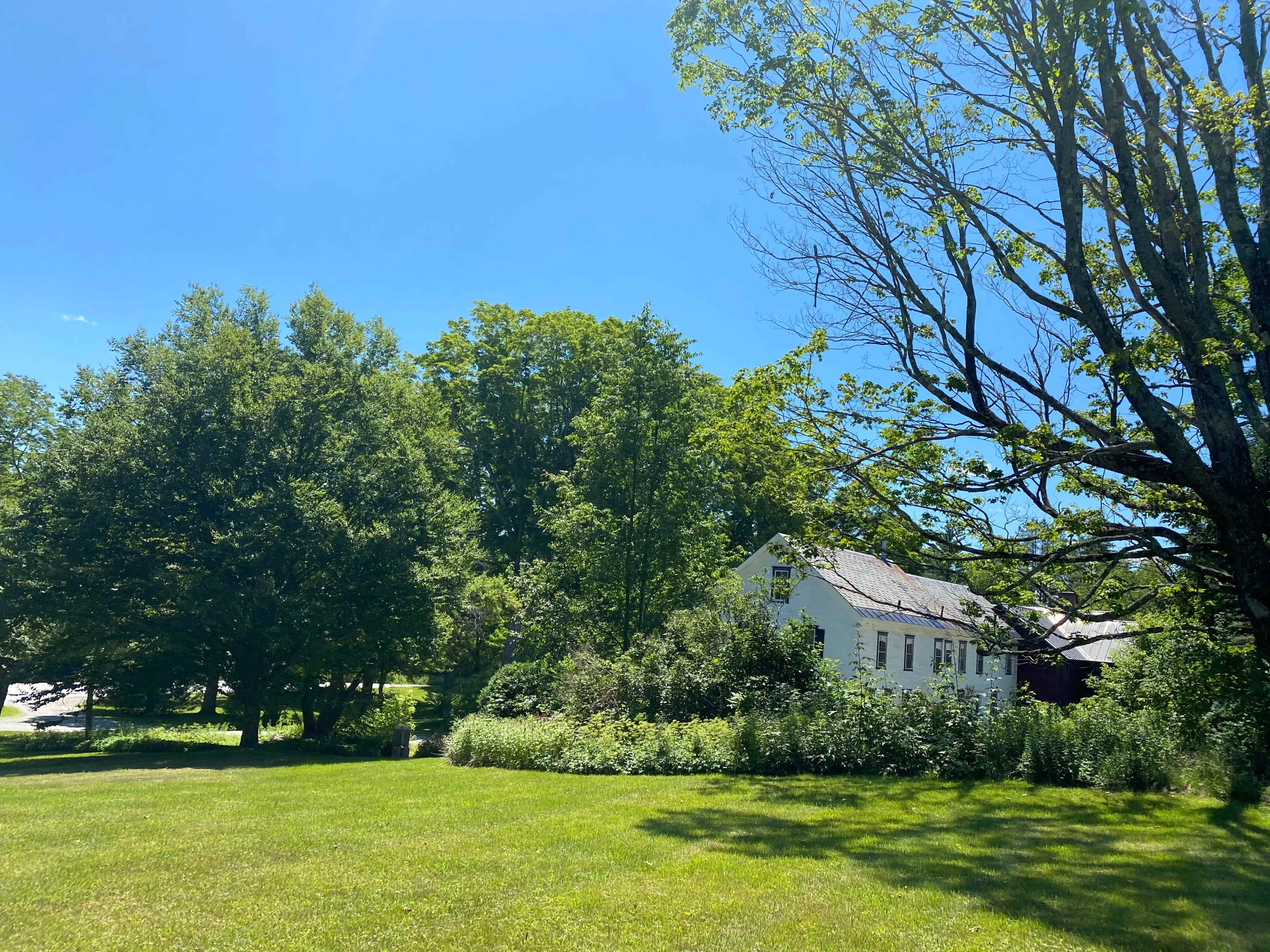 A white house with a sloped roof is situated among tall trees and a grassy area under a clear blue sky.