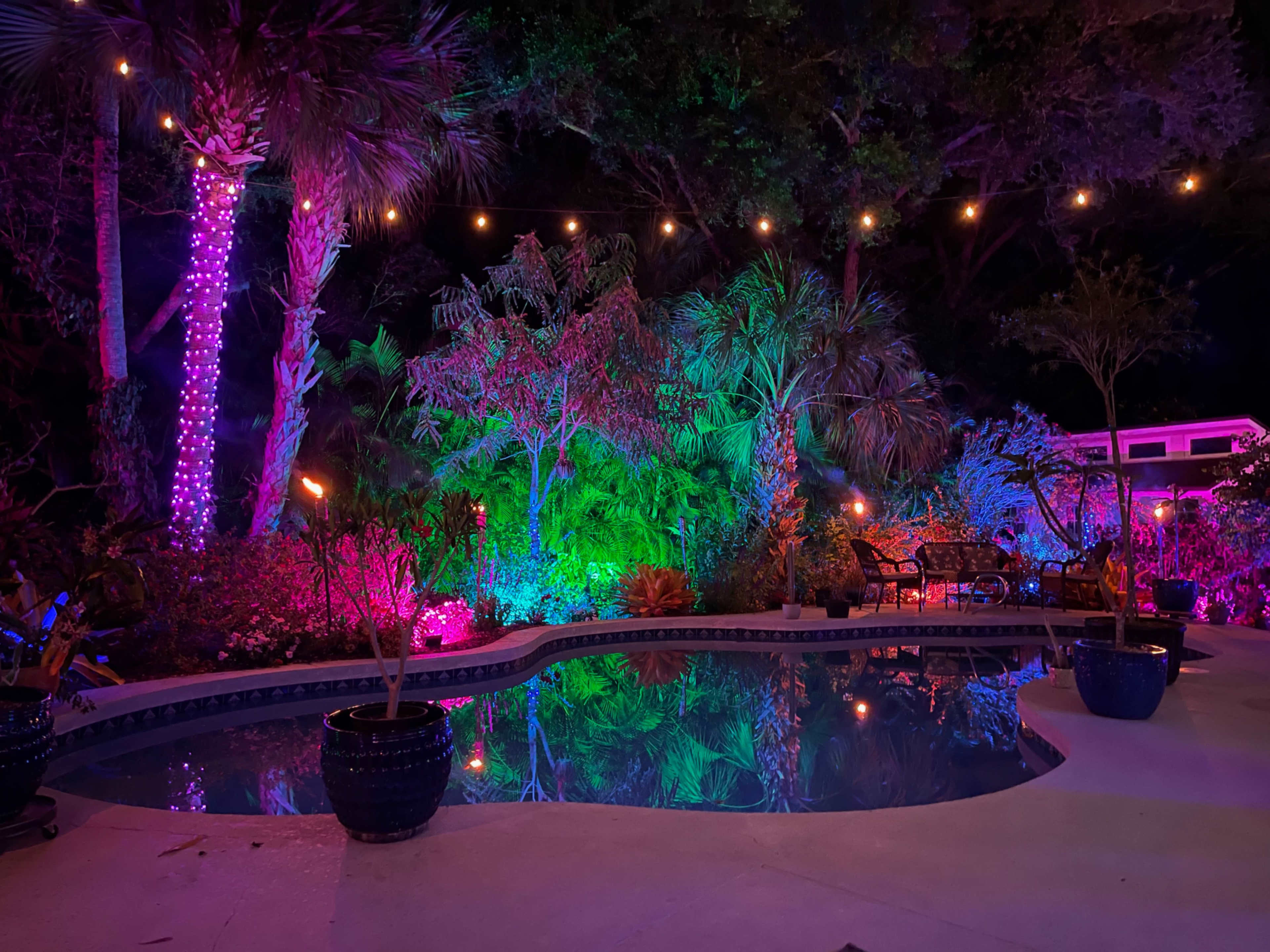 Tropical Butterfly Garden and Pool Image in Palm Bay, Palm Bay, FL