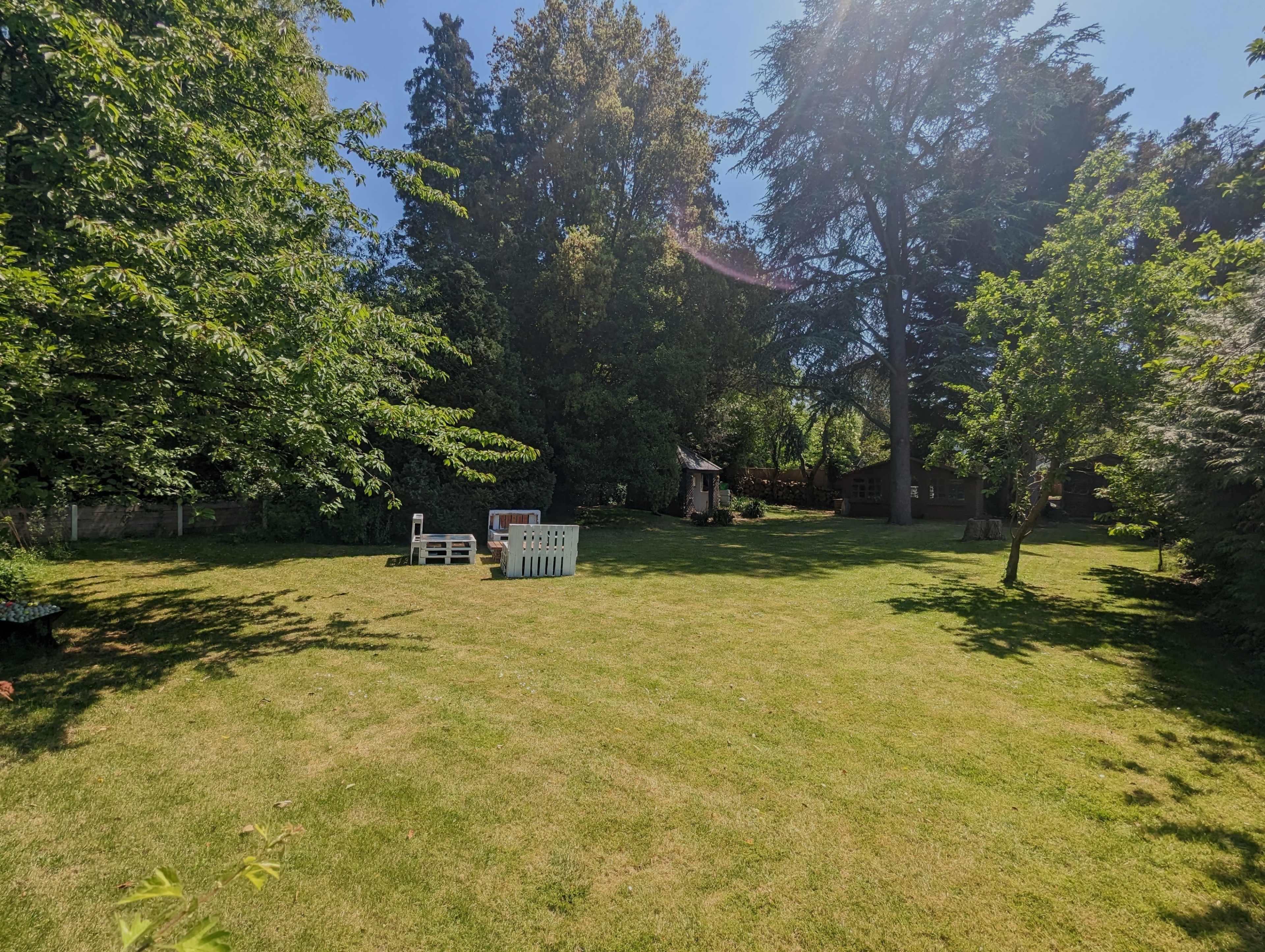 The image shows a spacious green backyard with trees, a grassy area, and a few white outdoor furniture pieces.