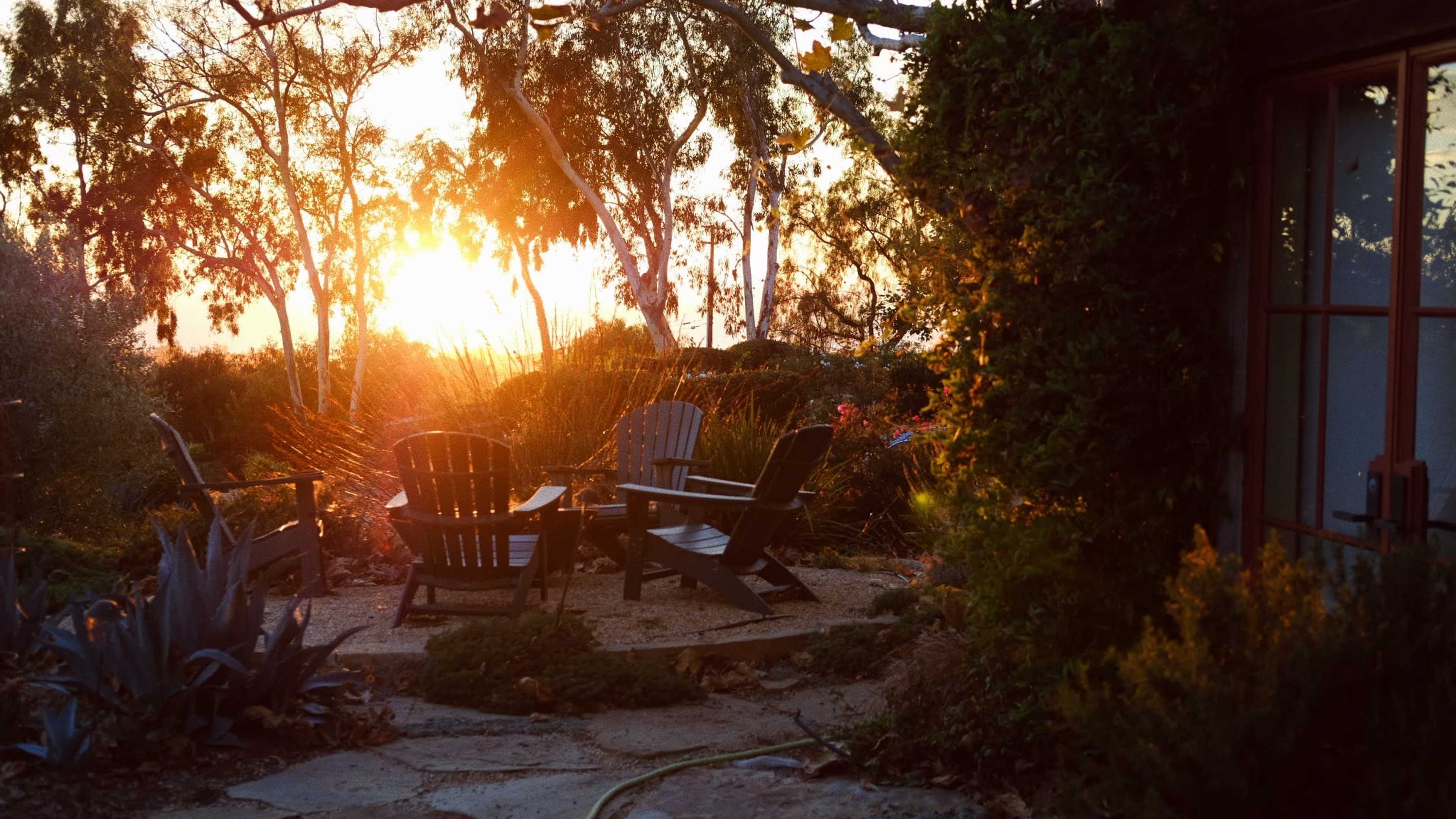 A garden patio with wooden chairs is illuminated by the setting sun, surrounded by trees and plants.
