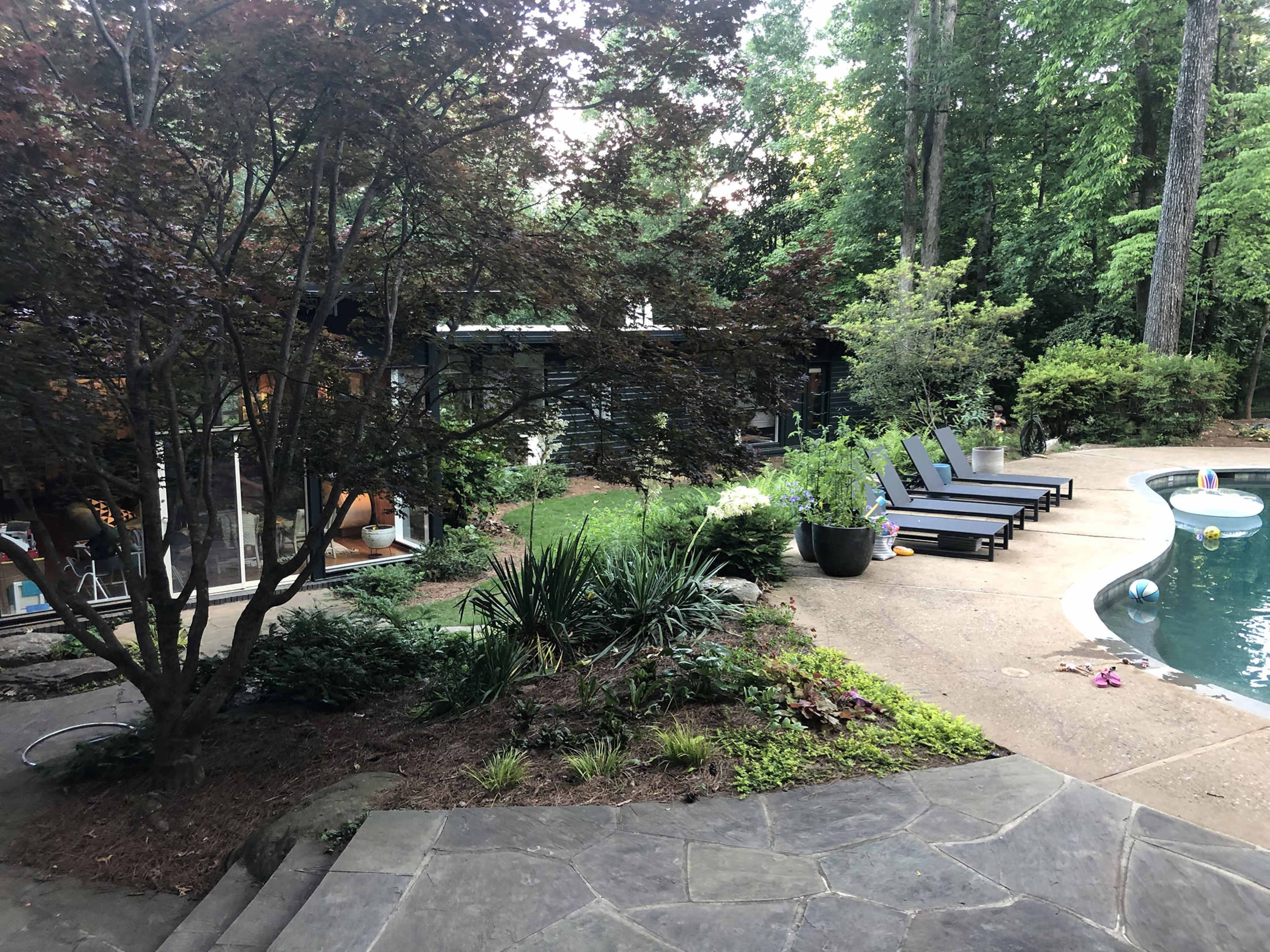 The image shows a backyard with a swimming pool, lounge chairs arranged around it, and lush greenery including trees and plants.