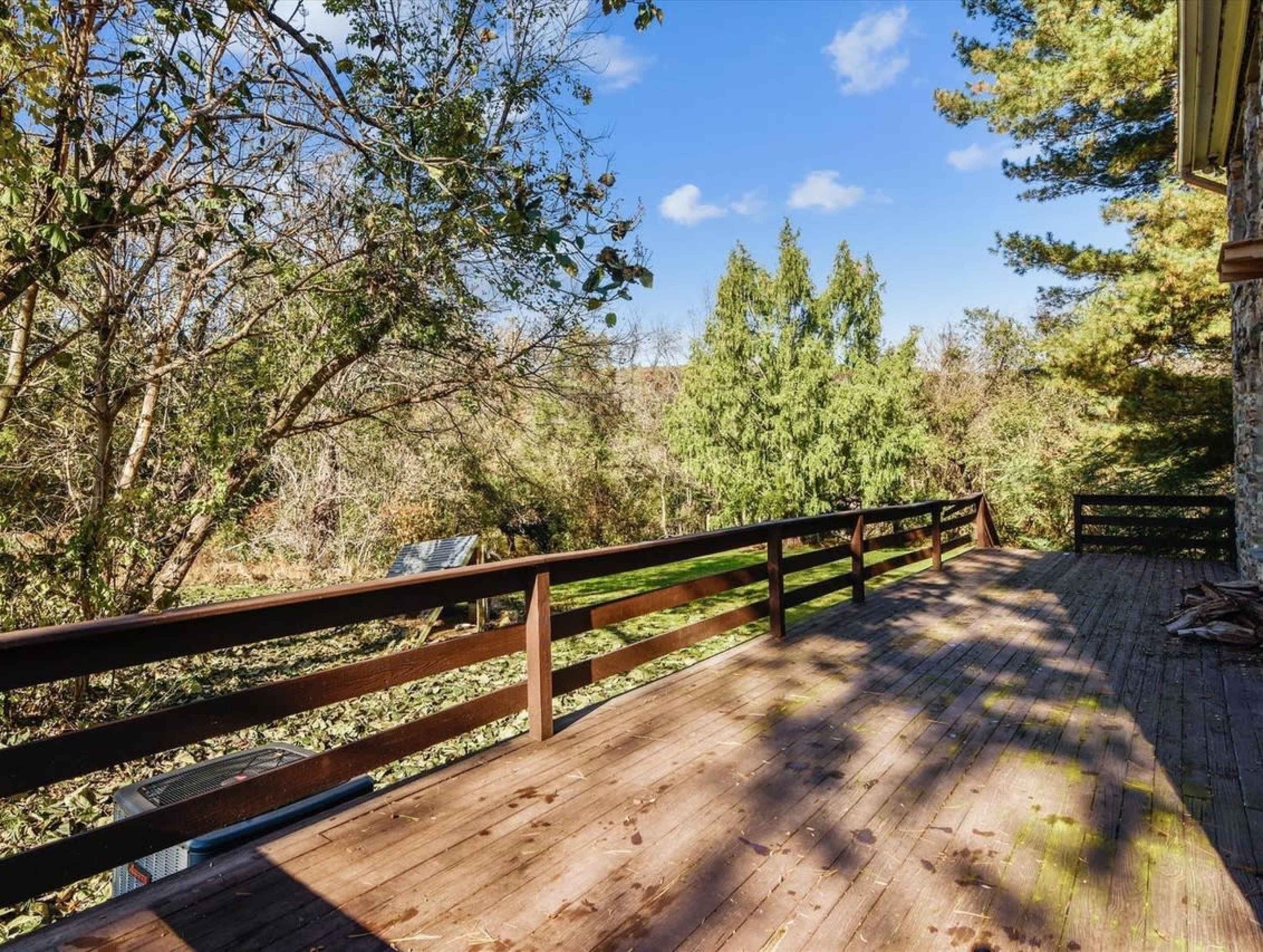 A wooden deck overlooking a wooded area with various trees and a clear blue sky.