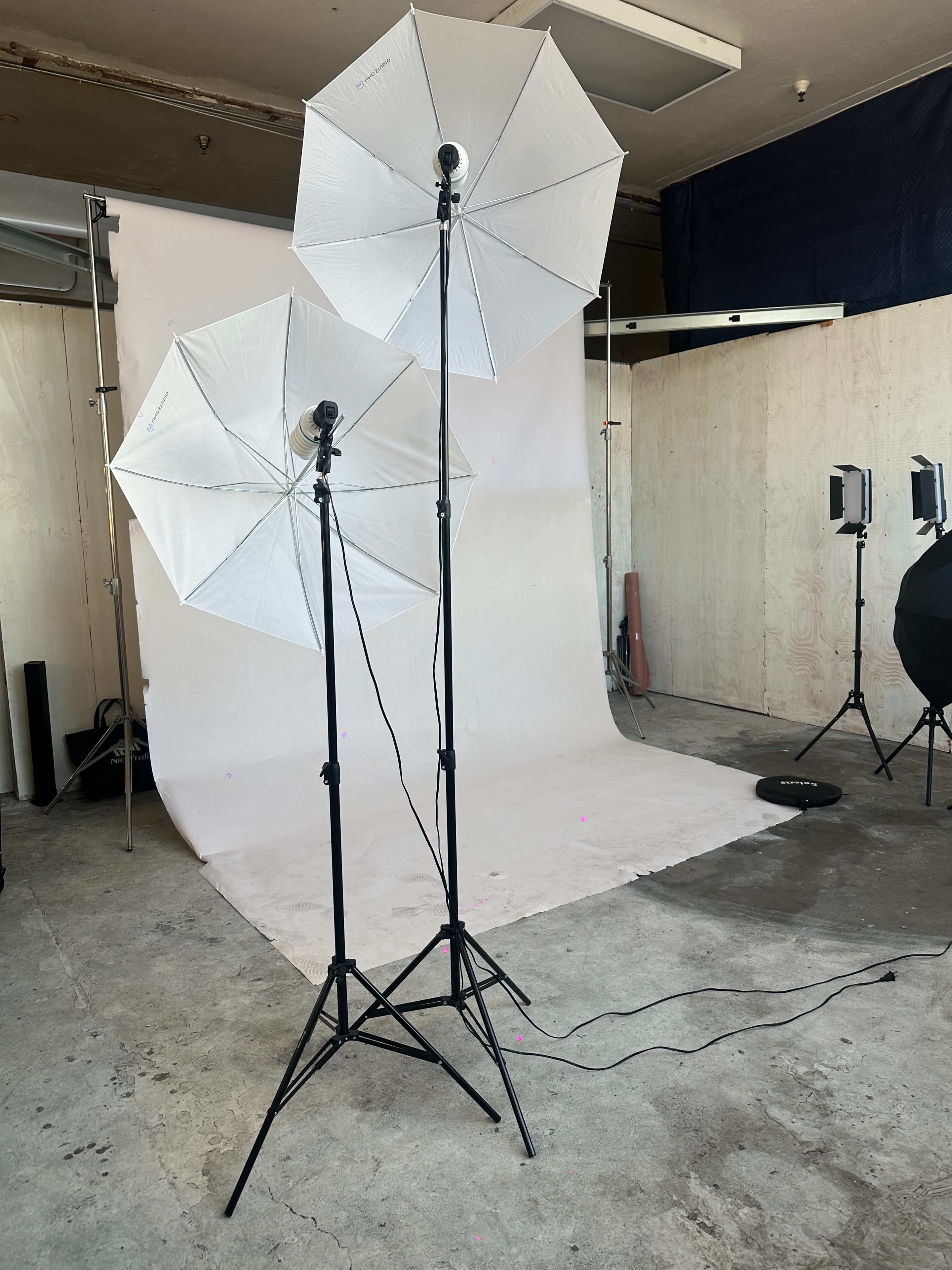 The image shows two large photography umbrellas mounted on light stands in a studio setting with a white backdrop.