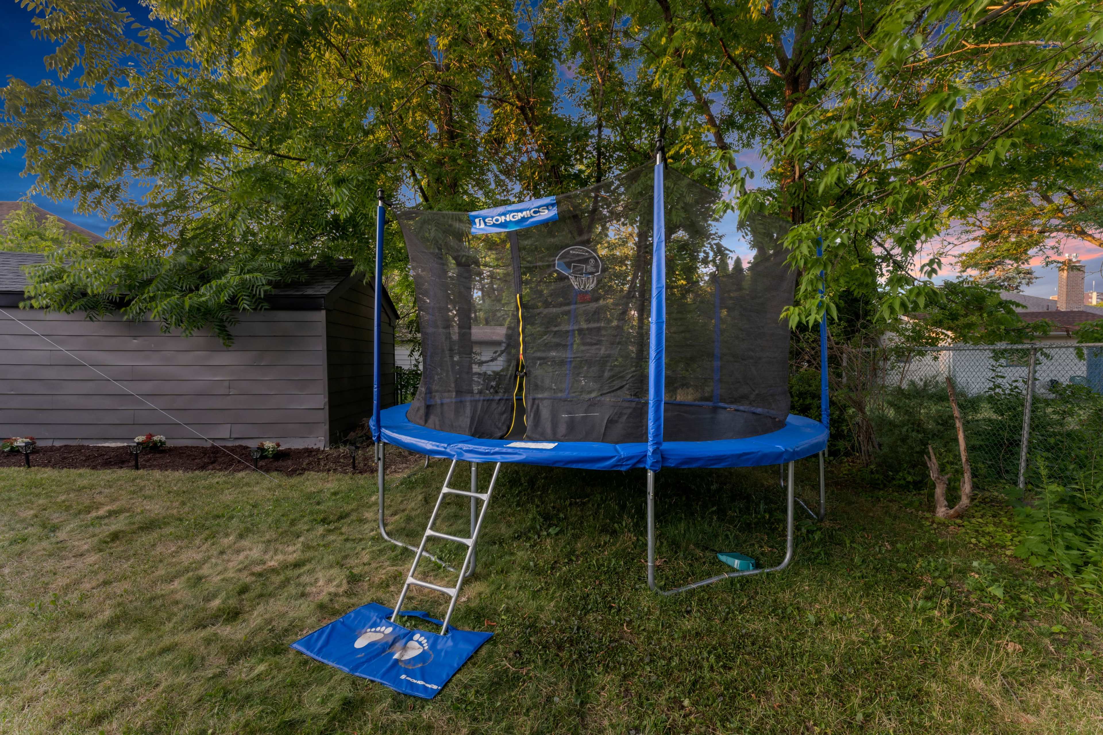 A blue trampoline with a basketball hoop is set up in a grassy backyard surrounded by trees and a wooden shed.