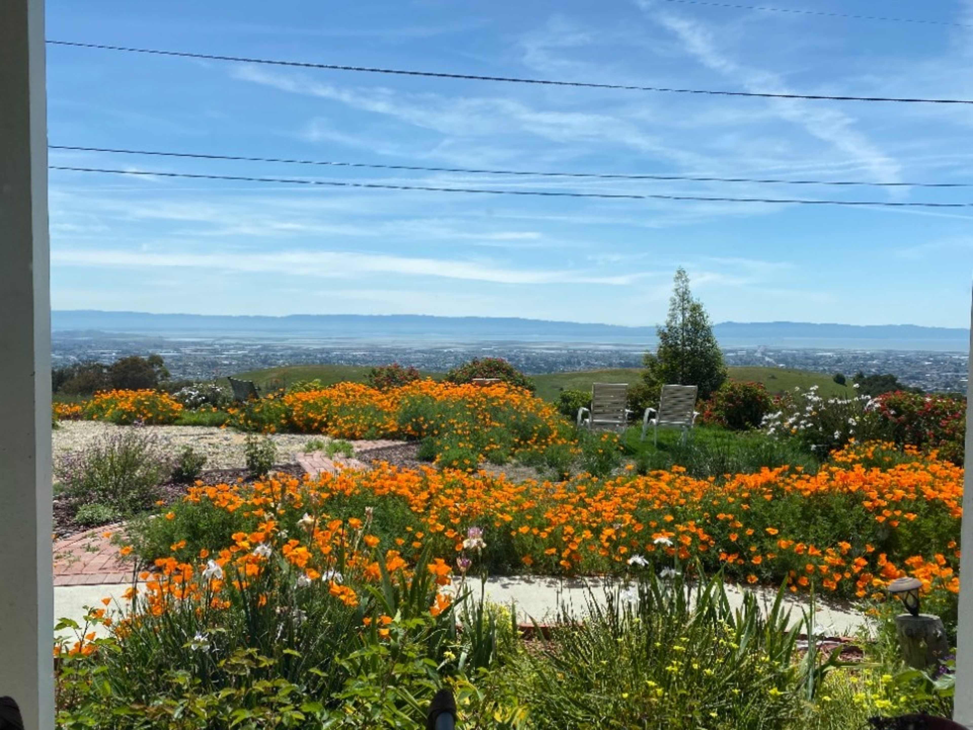 View of Front Yard - May 2023