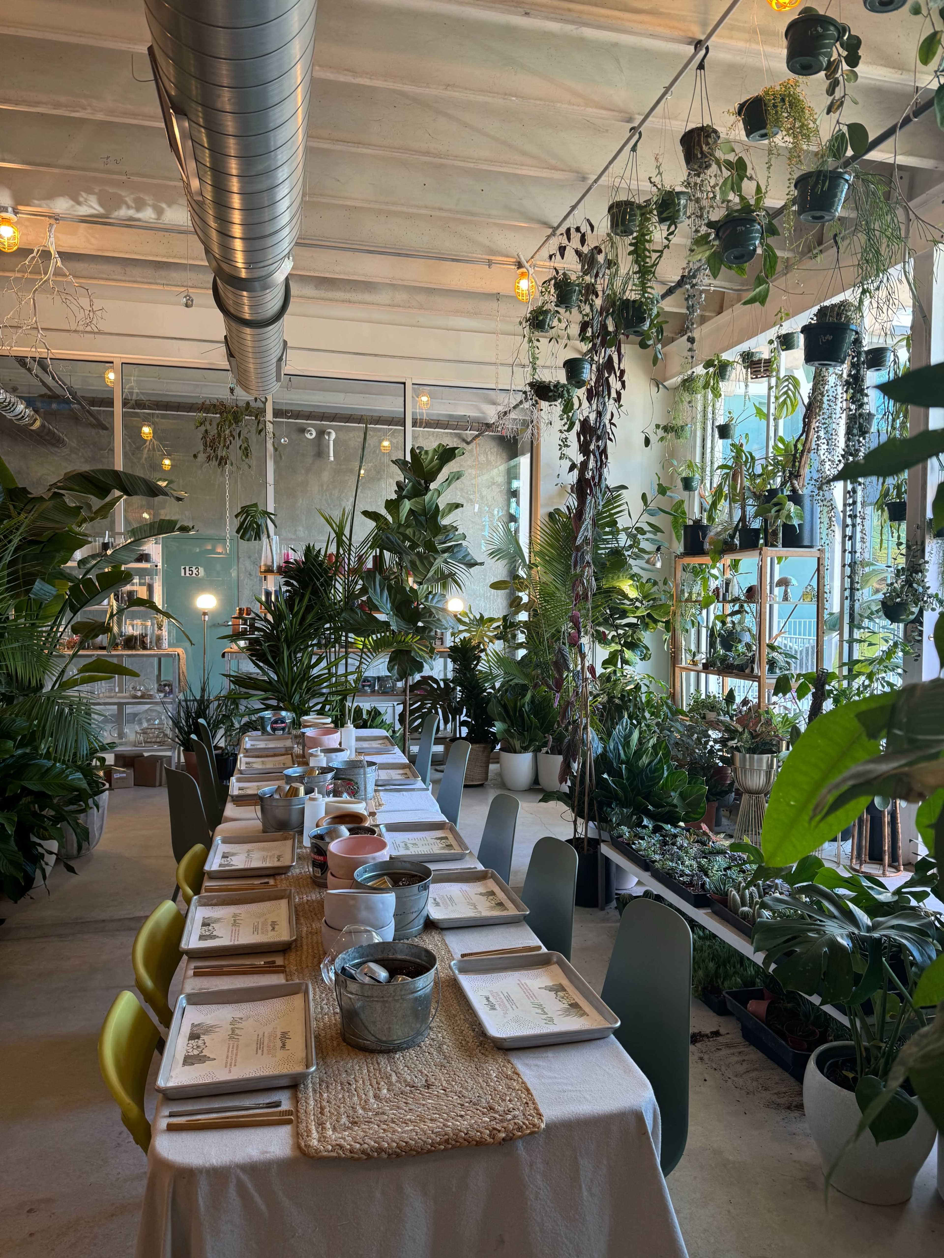 Bright East Austin Plant Studio Image in Govalle, Austin, TX