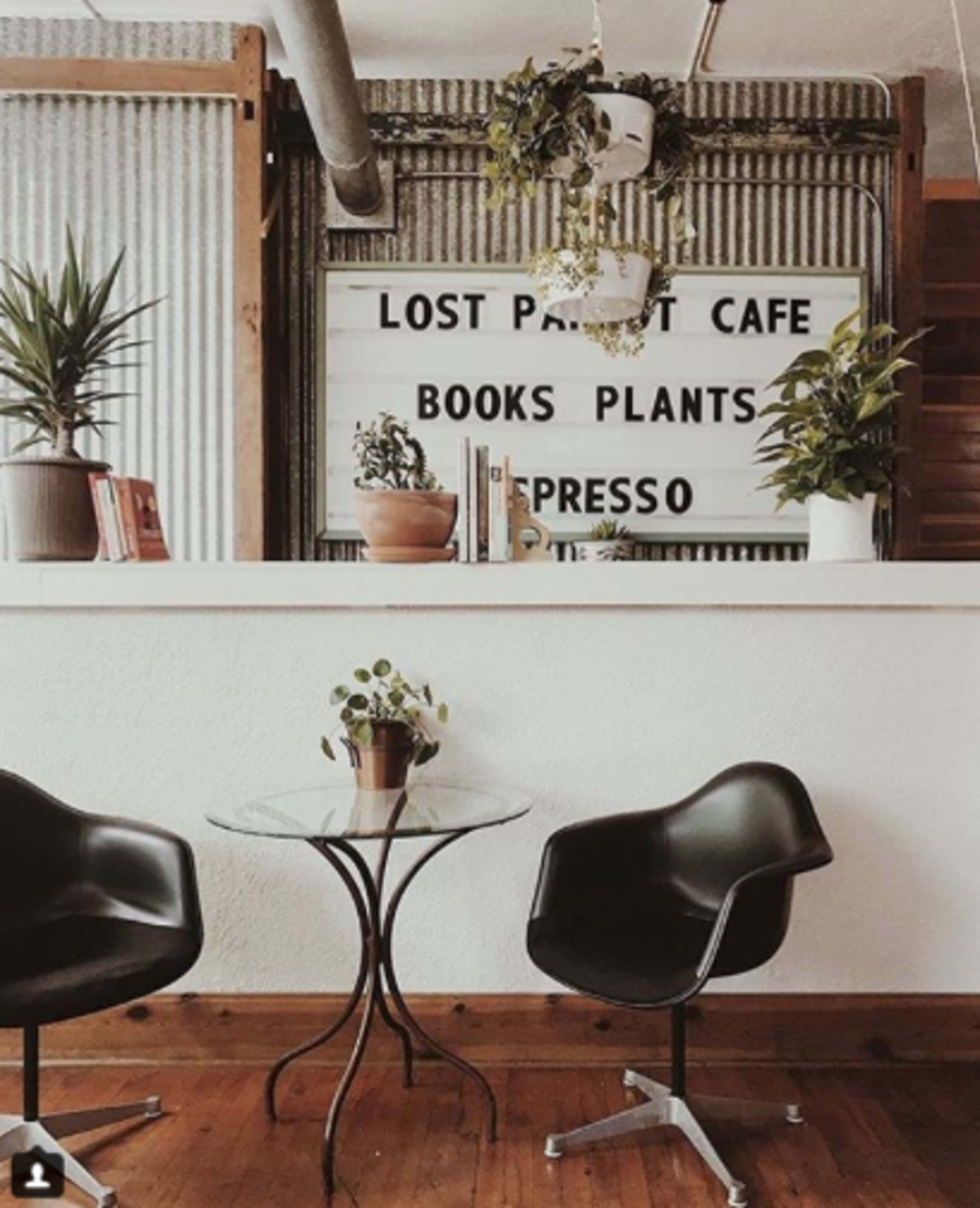 The image features a cozy cafe interior with two black chairs, a glass table, and a signage board displaying "LOST PARROT CAFE," surrounded by various potted plants.