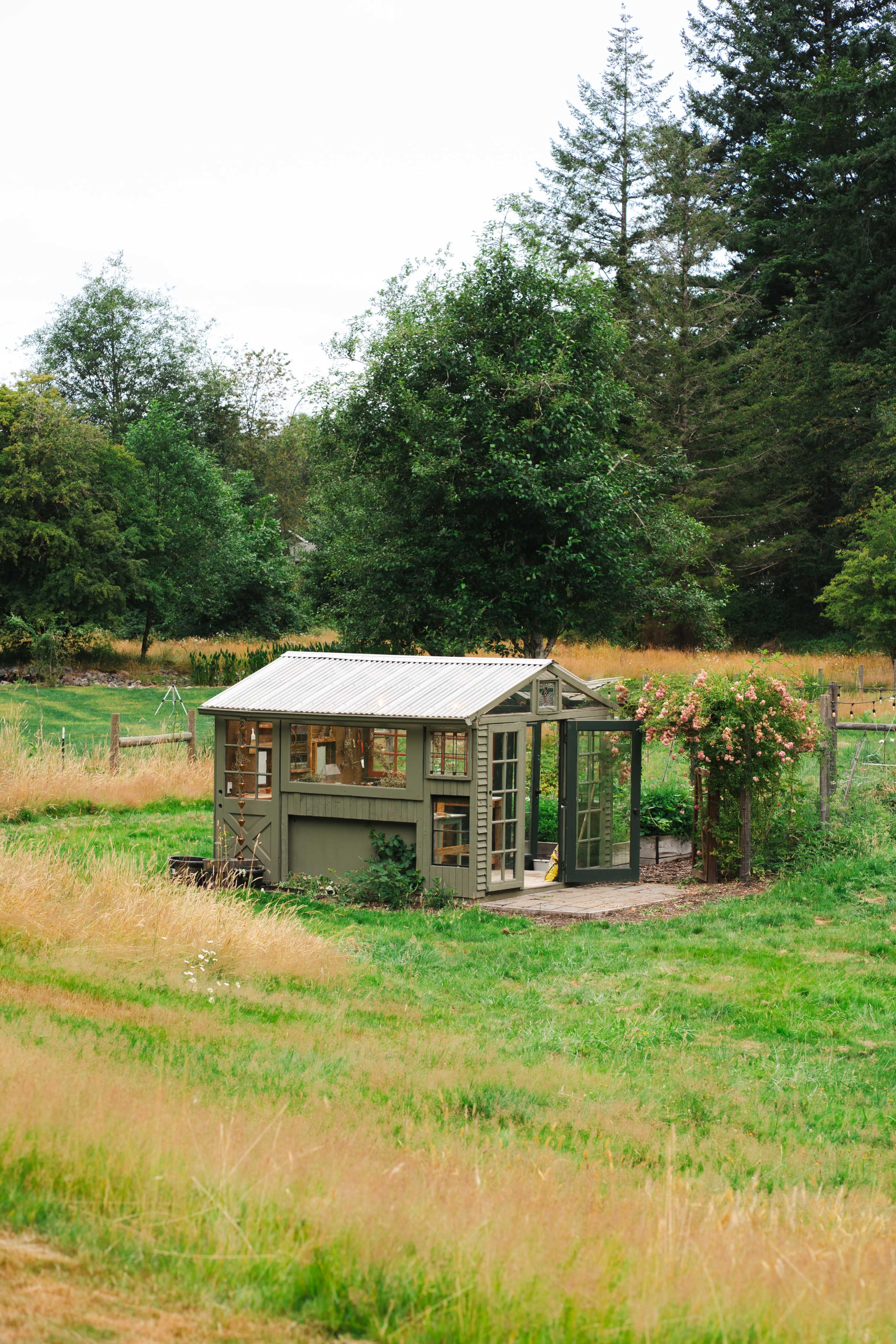 A green greenhouse sits on a grassy plot surrounded by trees and shrubs.