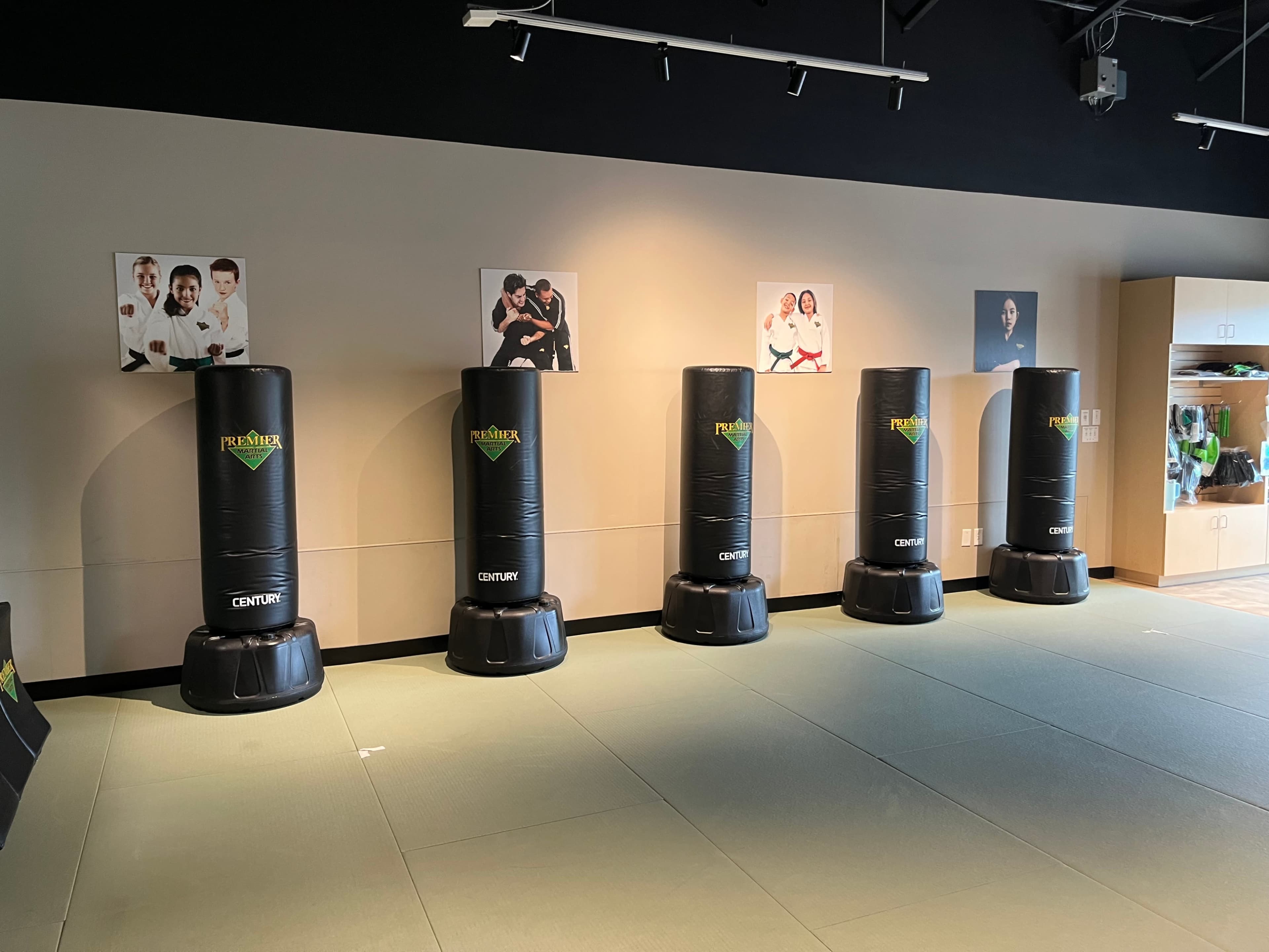 The image shows a martial arts training facility featuring five standing punching bags arranged in a row against a wall adorned with martial arts-themed pictures.