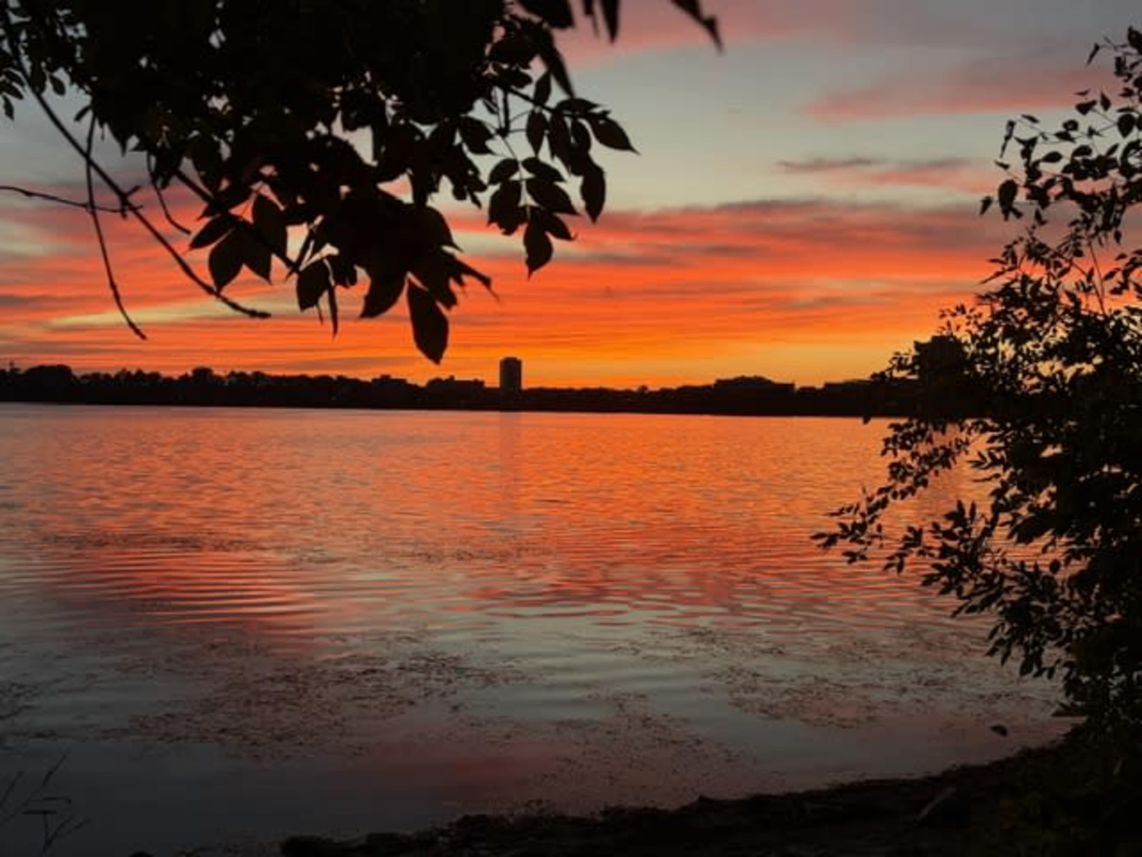 The image shows a vibrant sunset reflecting on a calm lake, framed by dark foliage on the edges.