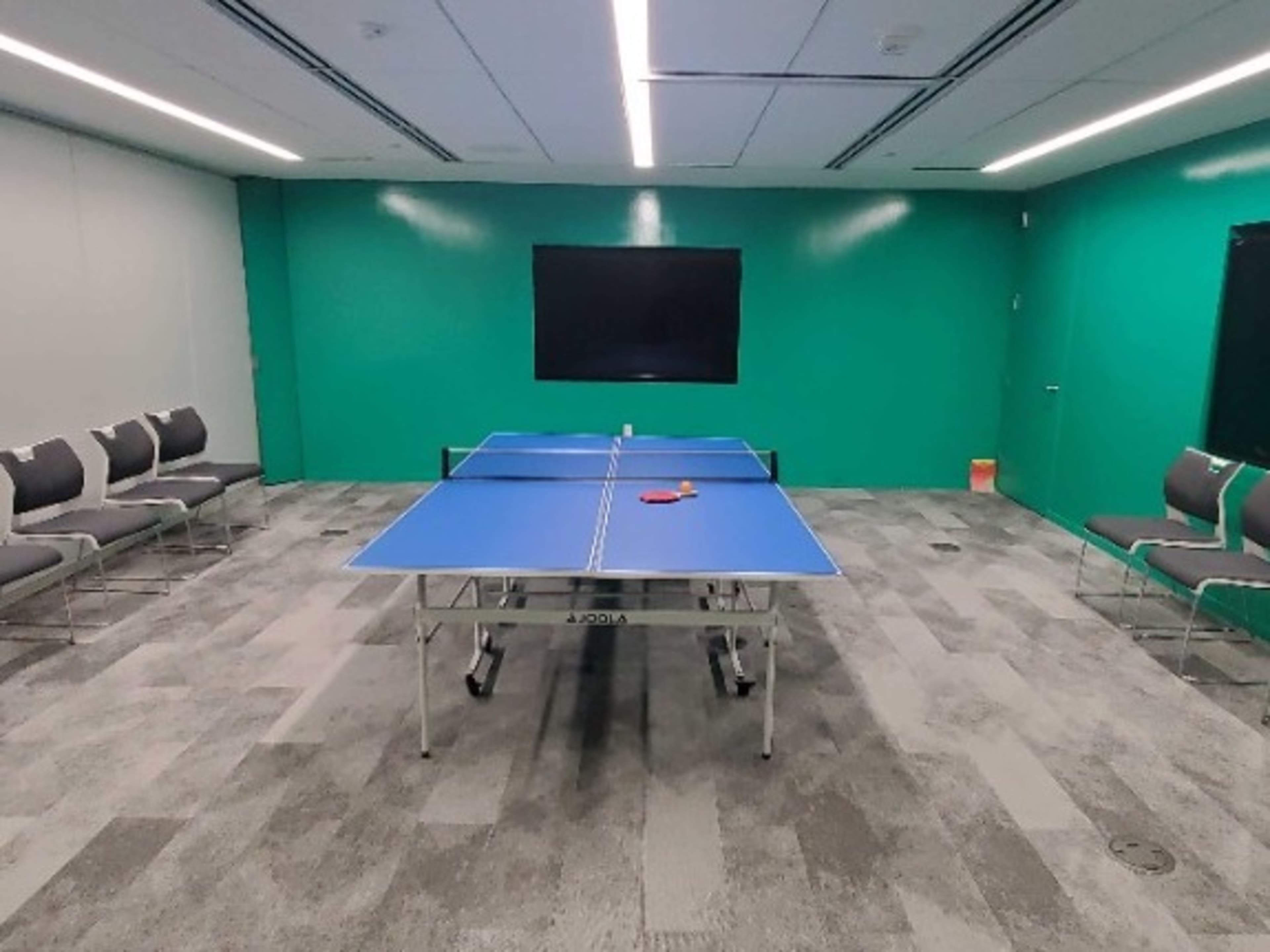 Ping Pong Table