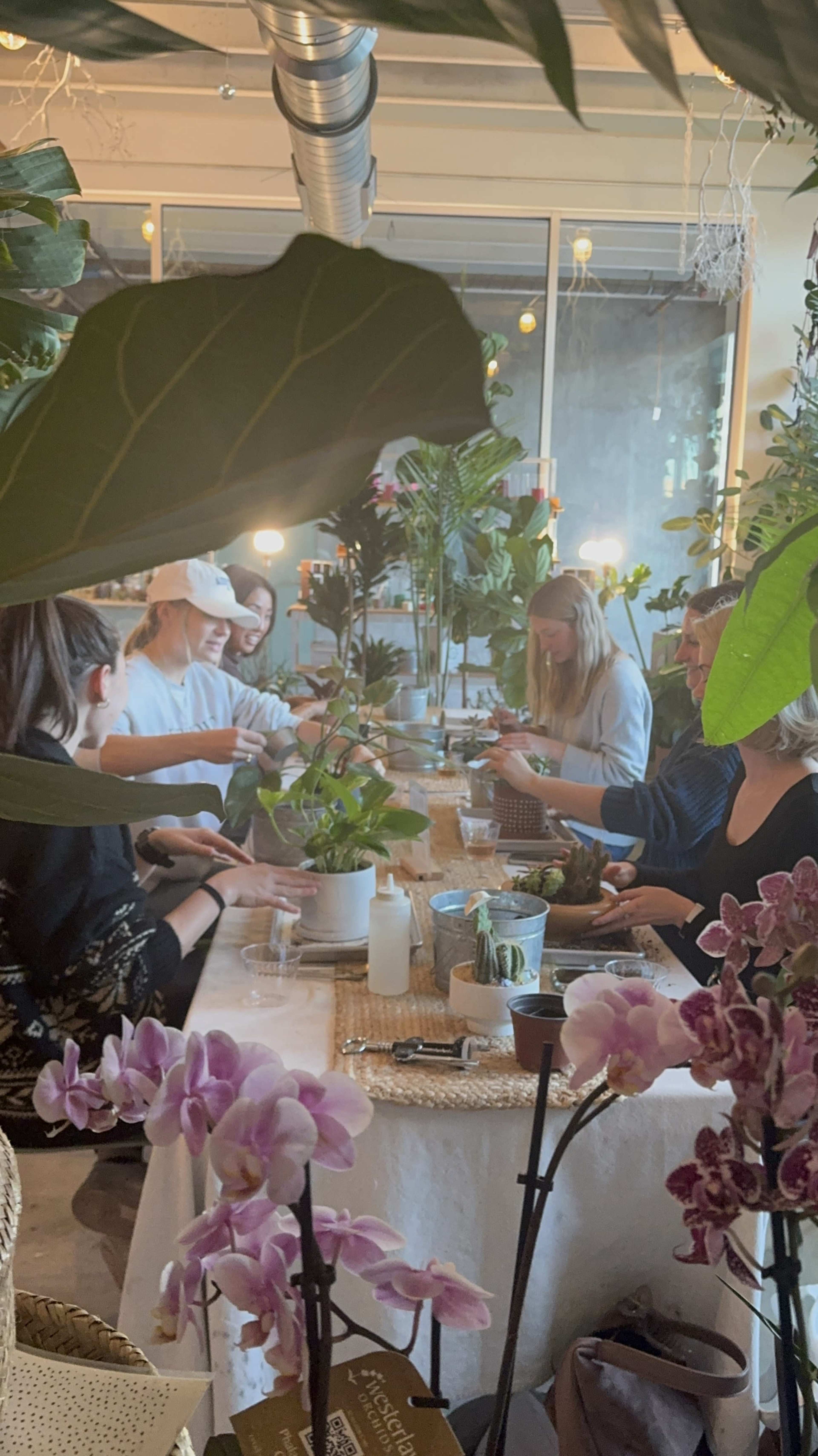 East Austin Urban Plant Studio Image in Govalle, Austin, TX