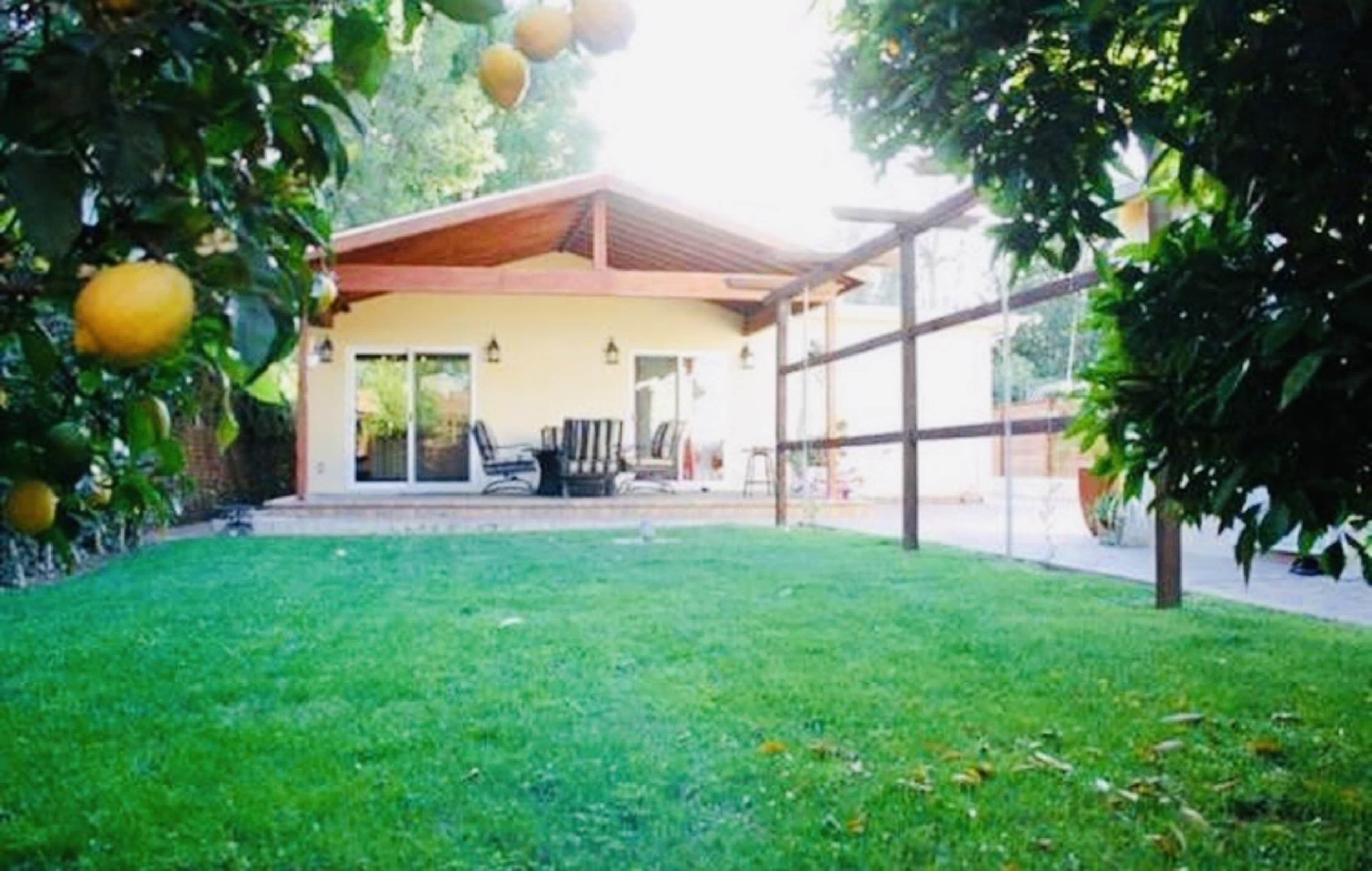 A single-story house with large windows and a wooden patio overlooks a grassy backyard filled with lemon trees.