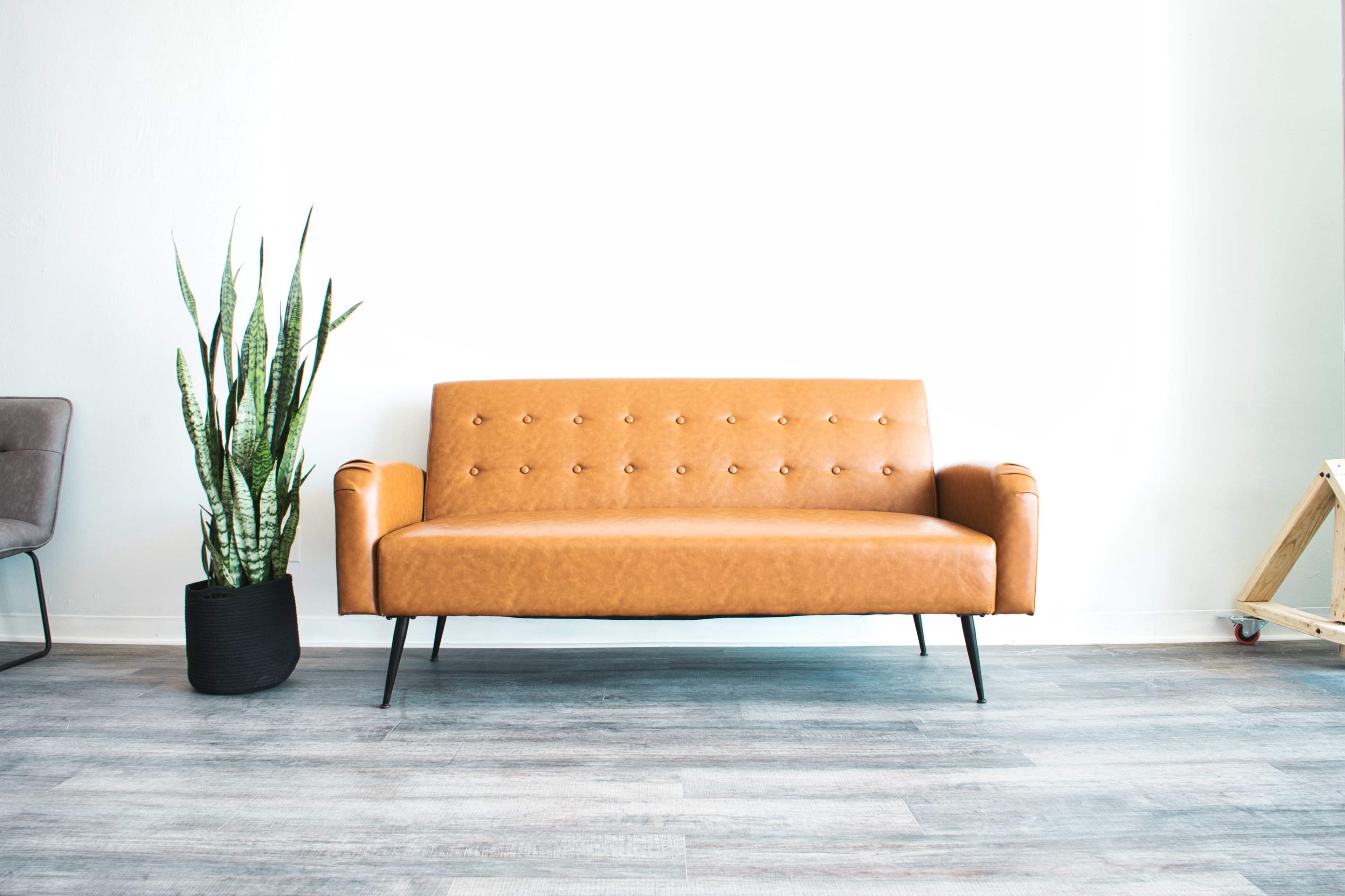 A brown leather sofa sits against a white wall next to a tall, green plant in a black pot.