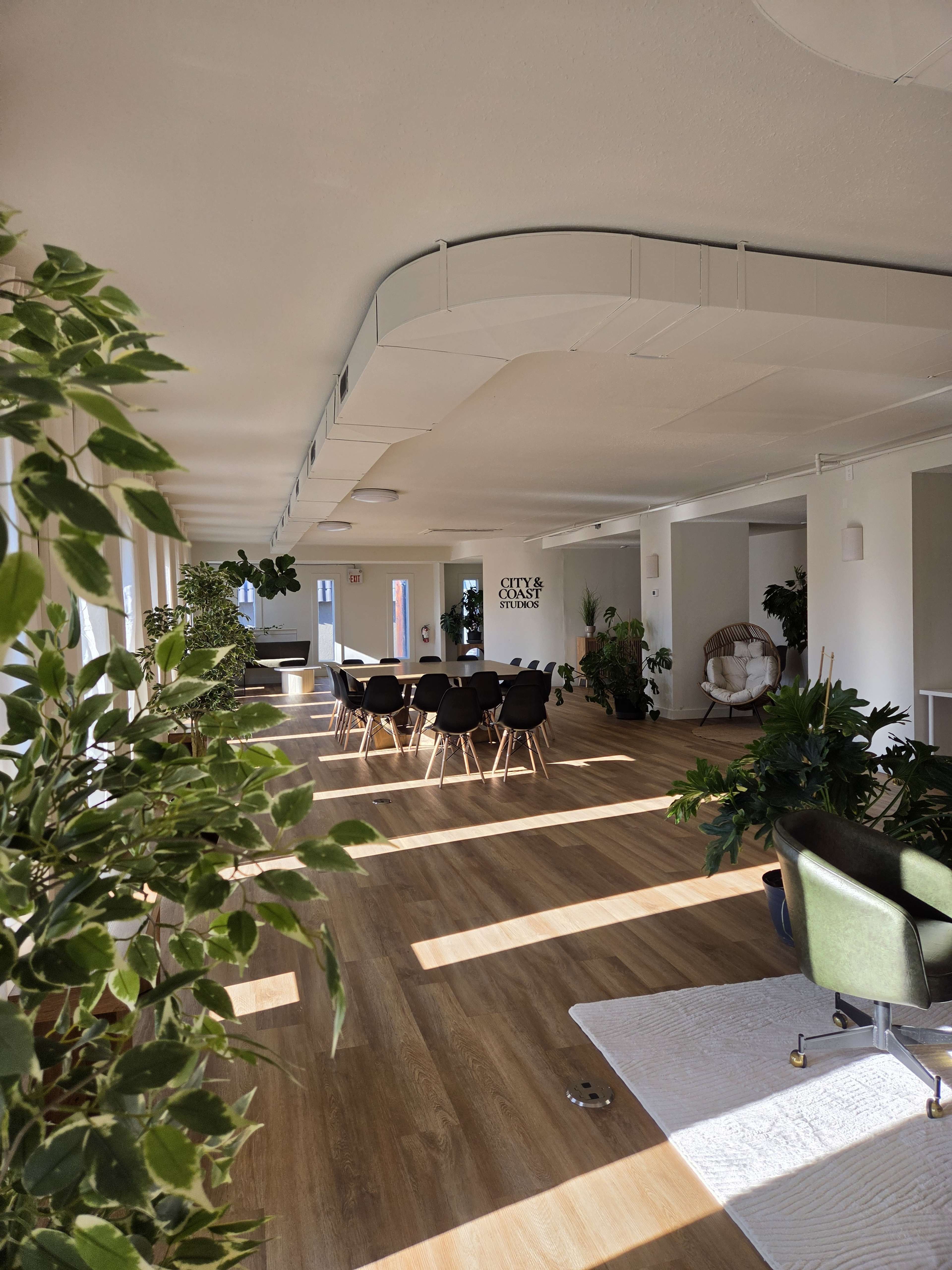 The image shows a spacious office interior with wooden flooring, a long table surrounded by chairs, and several plants throughout the room.