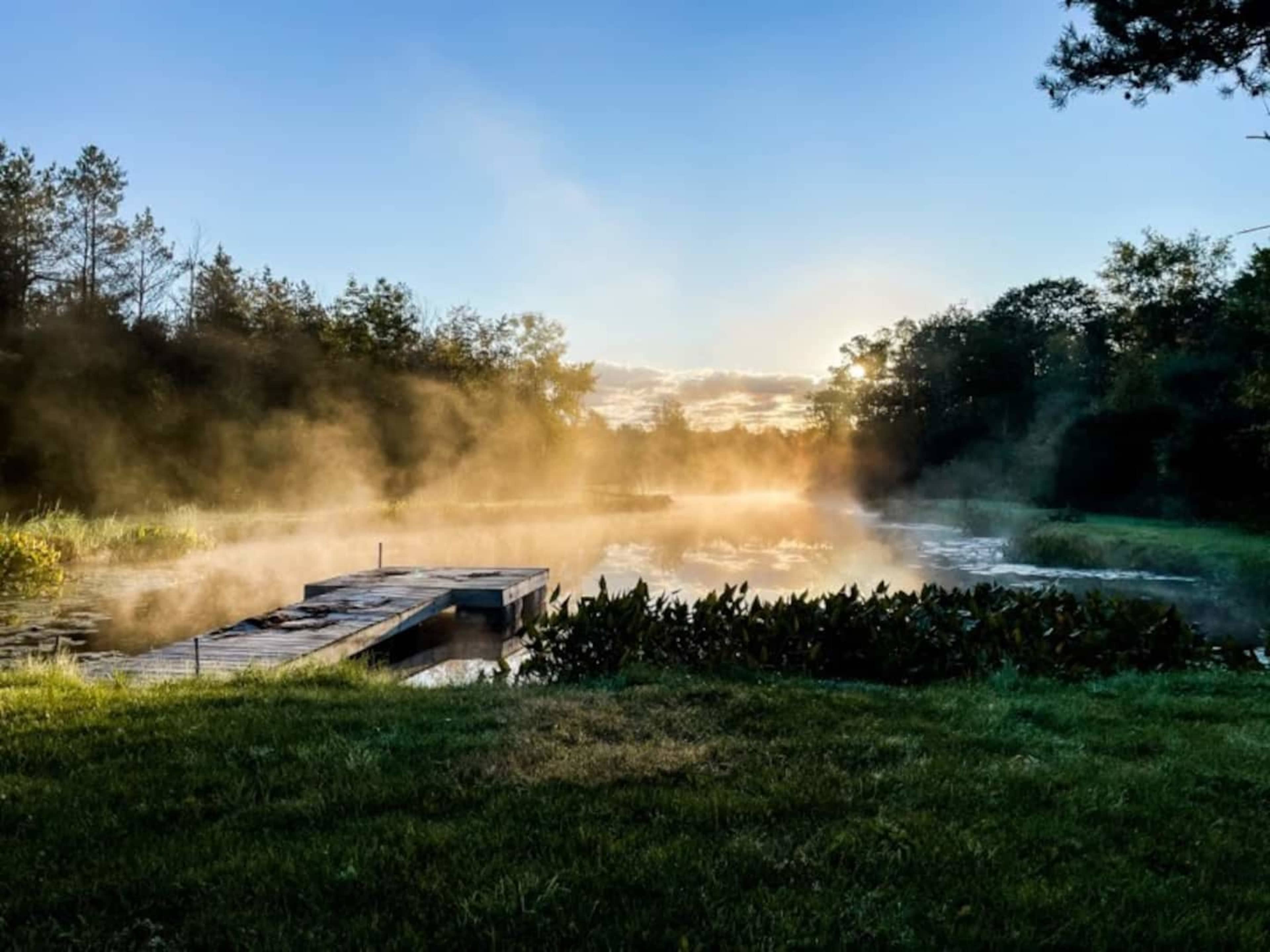 A wooden dock extends into a misty pond surrounded by greenery under a clear sky.