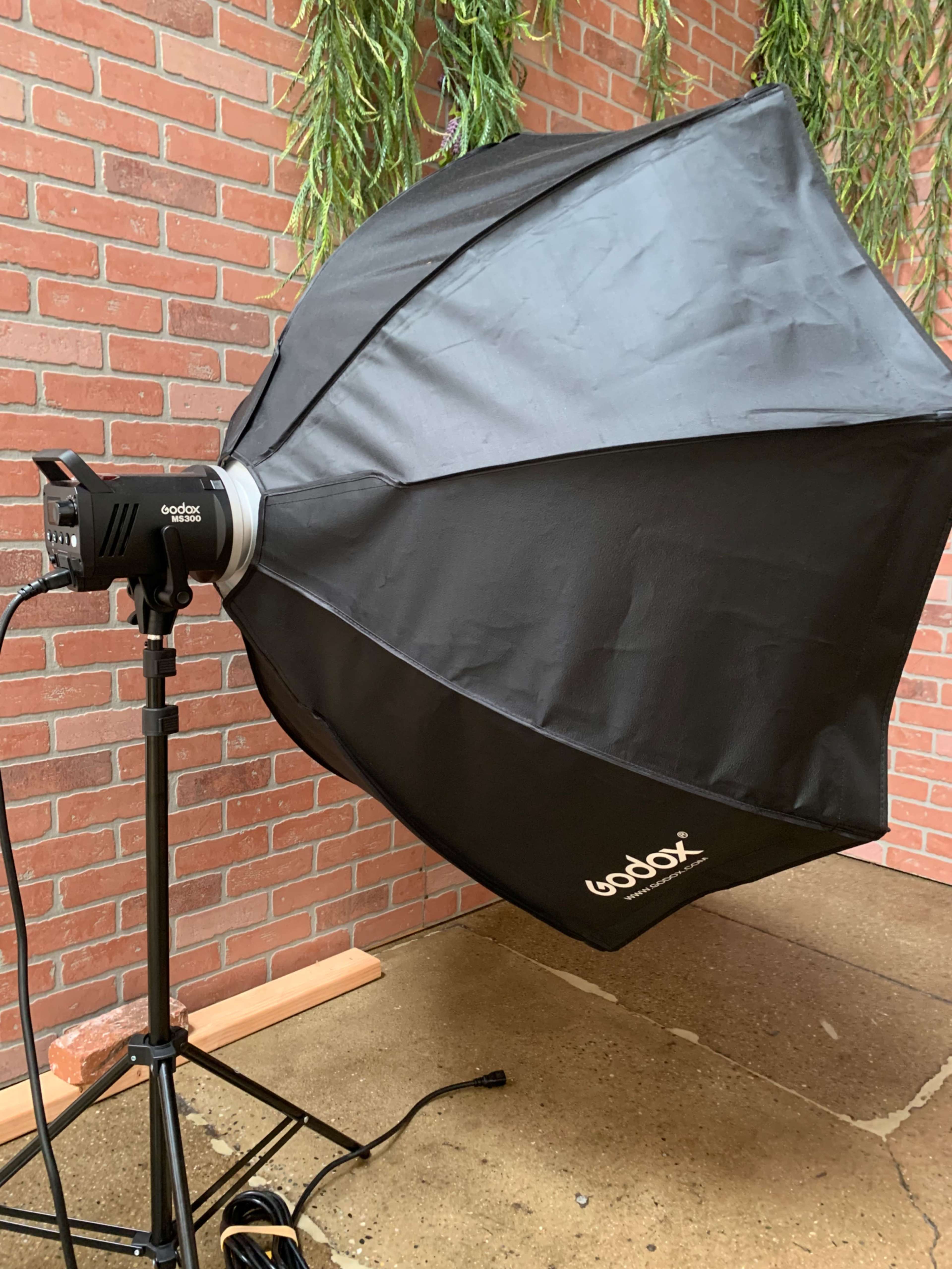 A Godox softbox light setup is positioned next to a brick wall with hanging greenery.