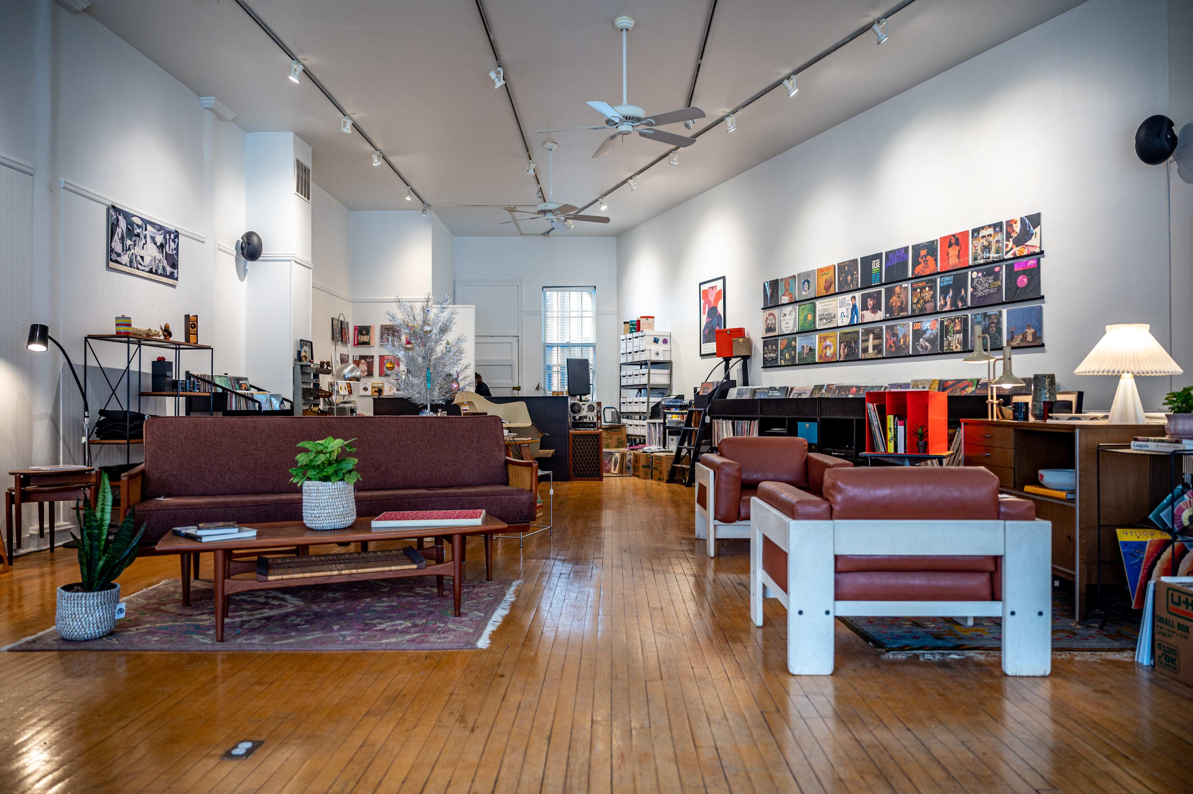 A spacious living area with wooden floors, featuring a mix of modern furniture, vinyl records displayed on the wall, and decorative plants.