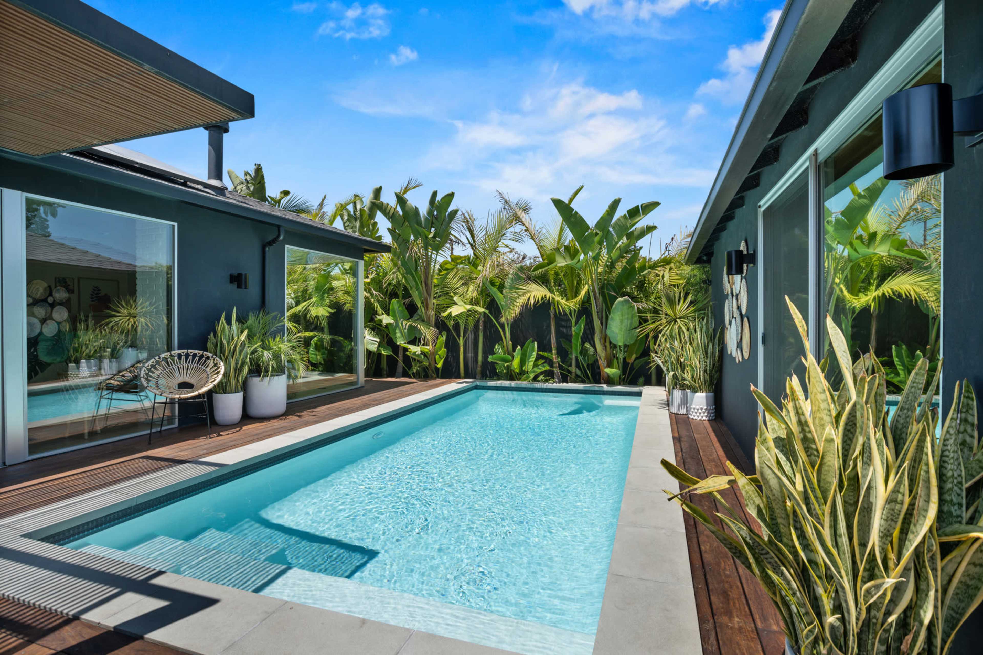 A modern house with a swimming pool surrounded by tropical plants and large windows.