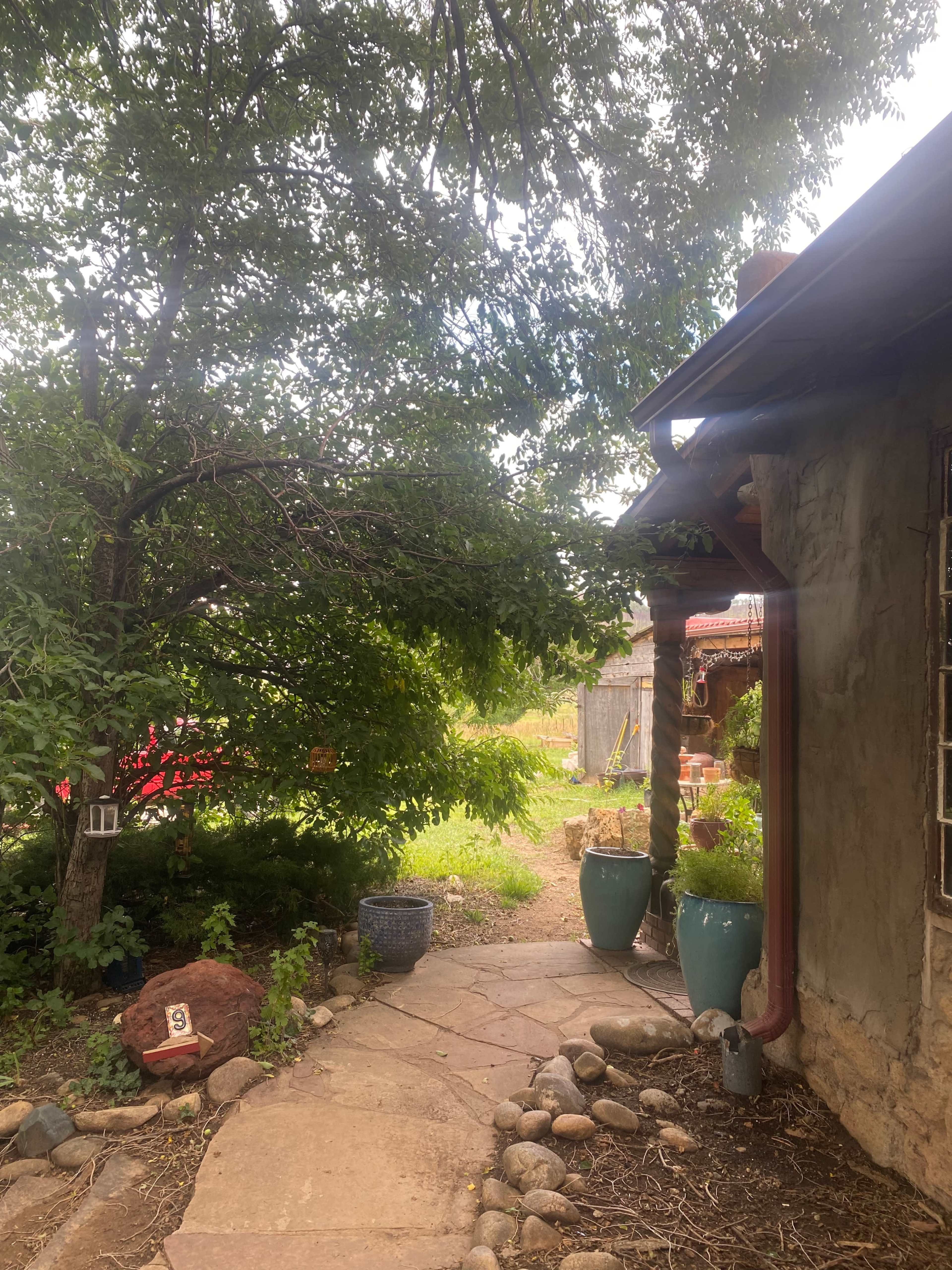 A stone pathway leads through a garden, bordered by greenery and two large blue planters, towards a rustic building.