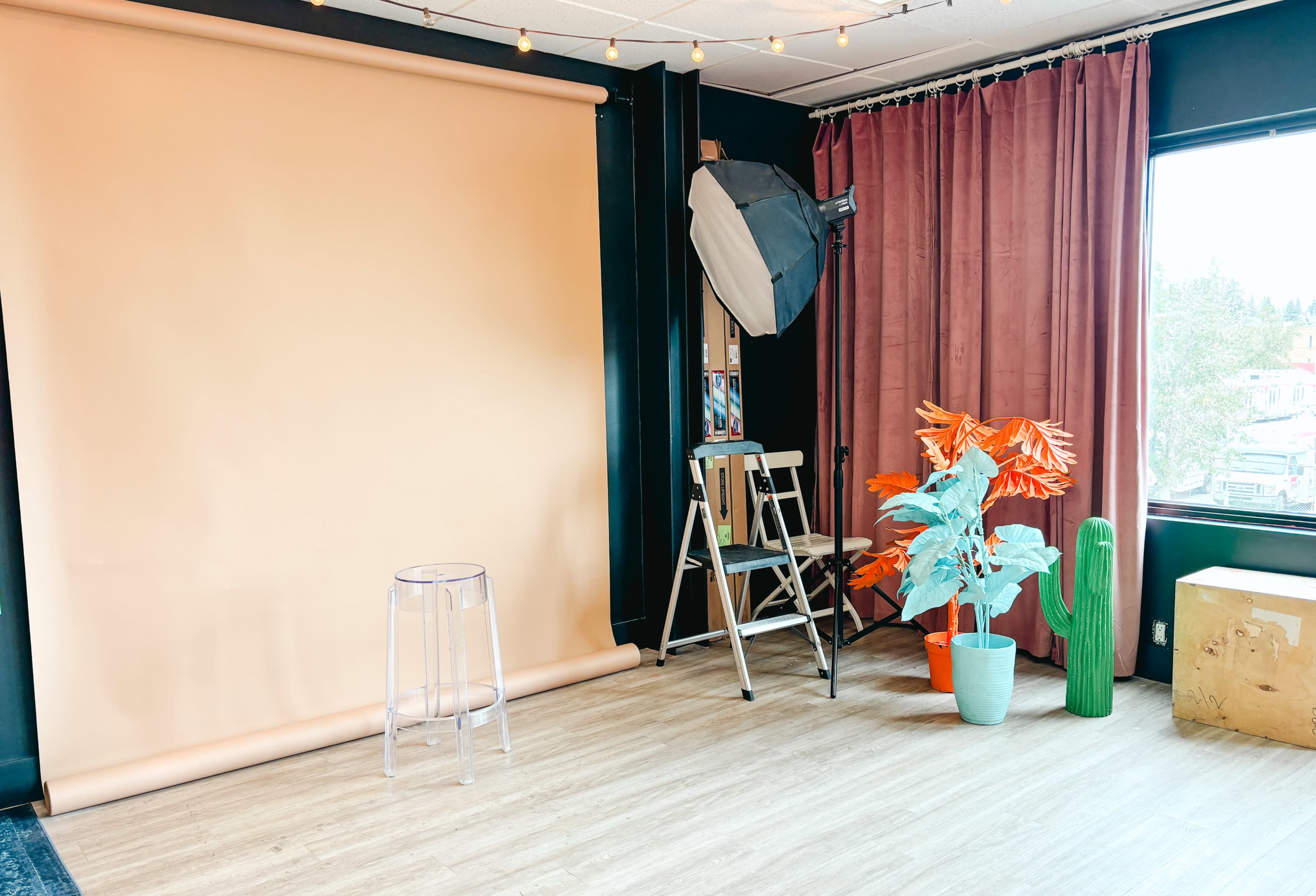 Multi-Set Photo Studio - Vintage Neon Night Garden Image in Highland Park, Calgary, AB