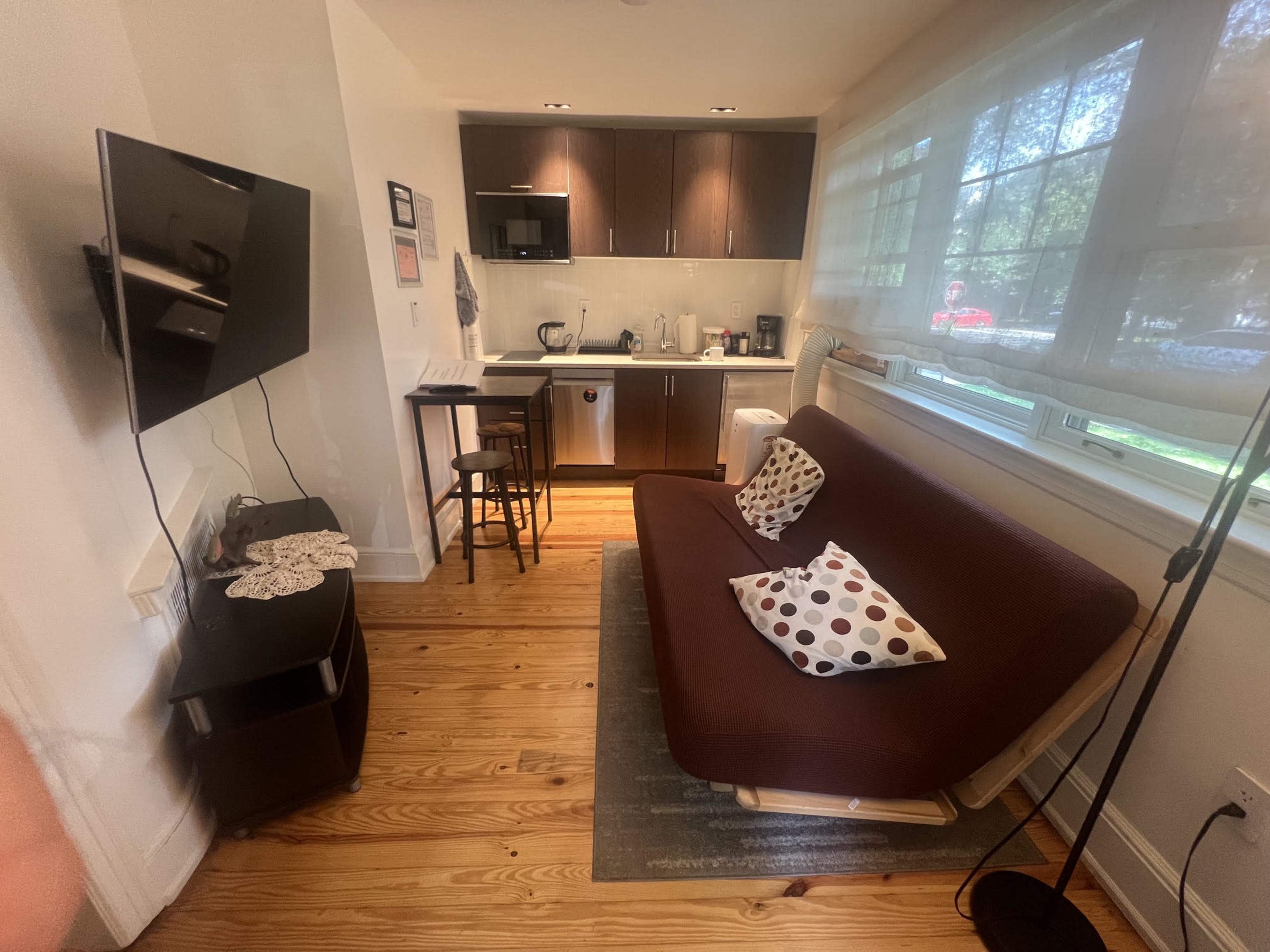 The image shows a small living area featuring a brown sofa bed with patterned pillows, a flat-screen TV mounted on the wall, and a kitchenette with various appliances.