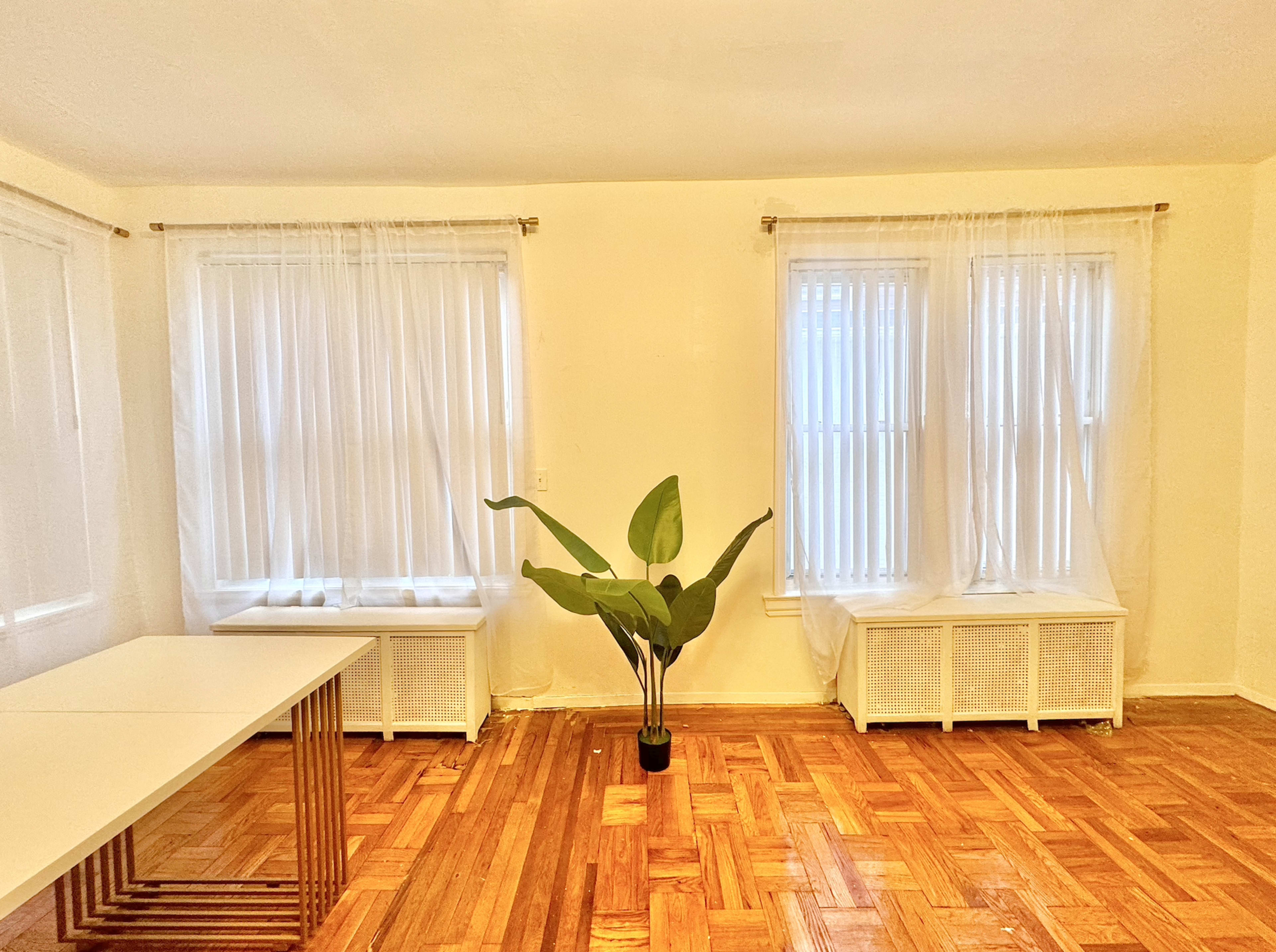 A bright, empty room with two windows covered by sheer curtains, a potted plant in the center, and a white table against one wall.