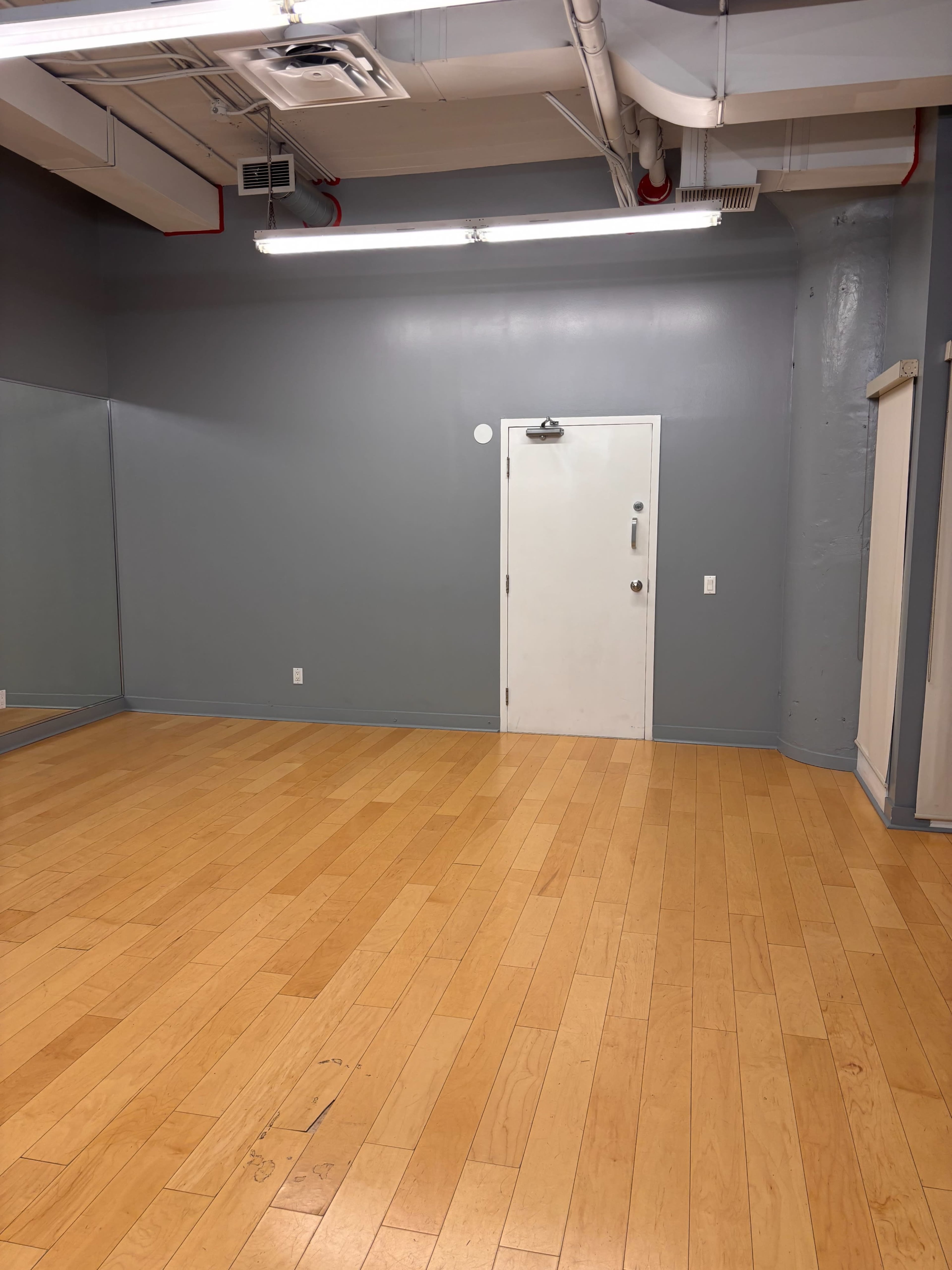 The image shows an empty room with wooden flooring, grey walls, a white door, and a mirror on one side.