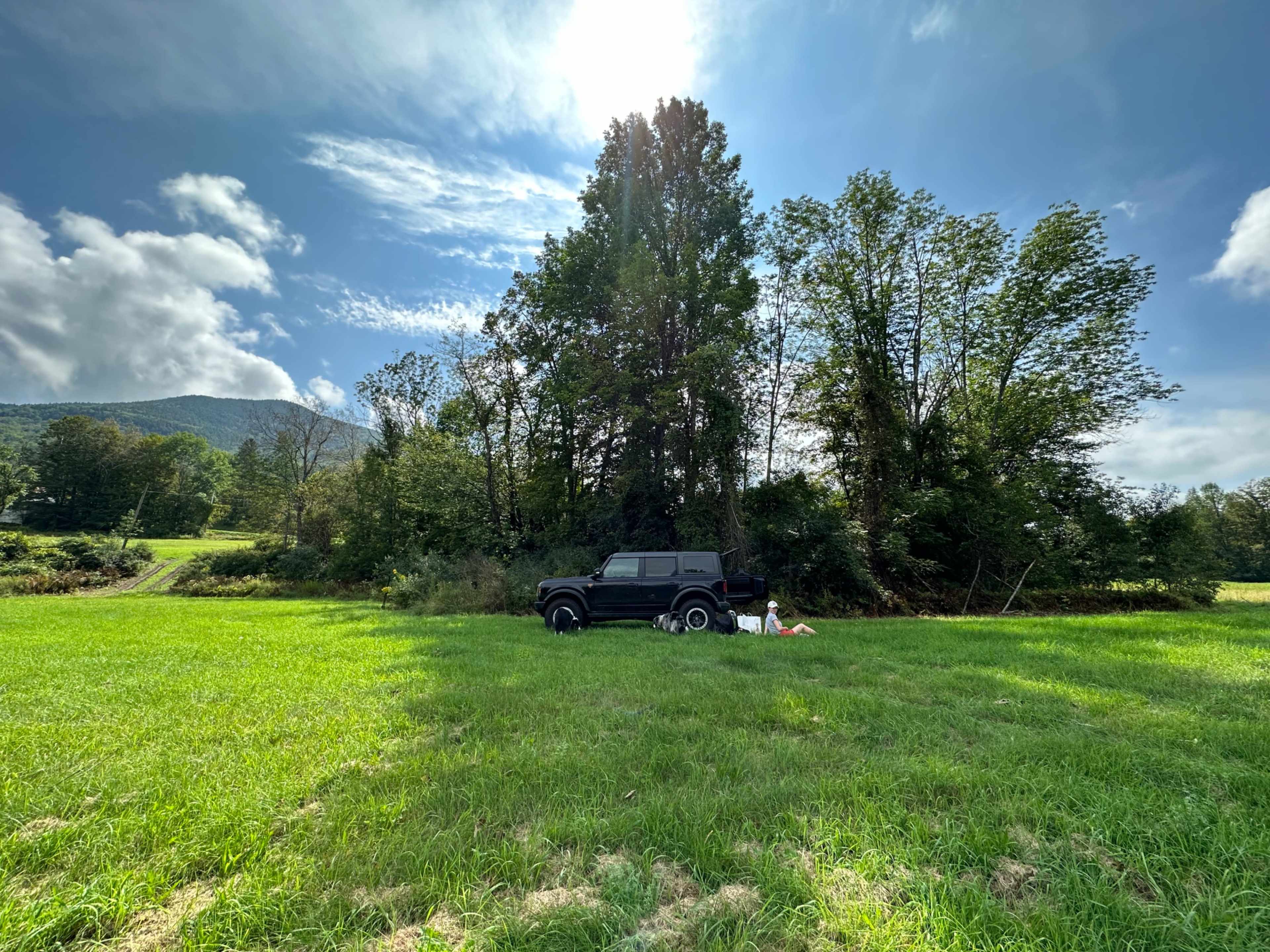 A black SUV is parked beside a grove of trees in a grassy field under a partly cloudy sky.