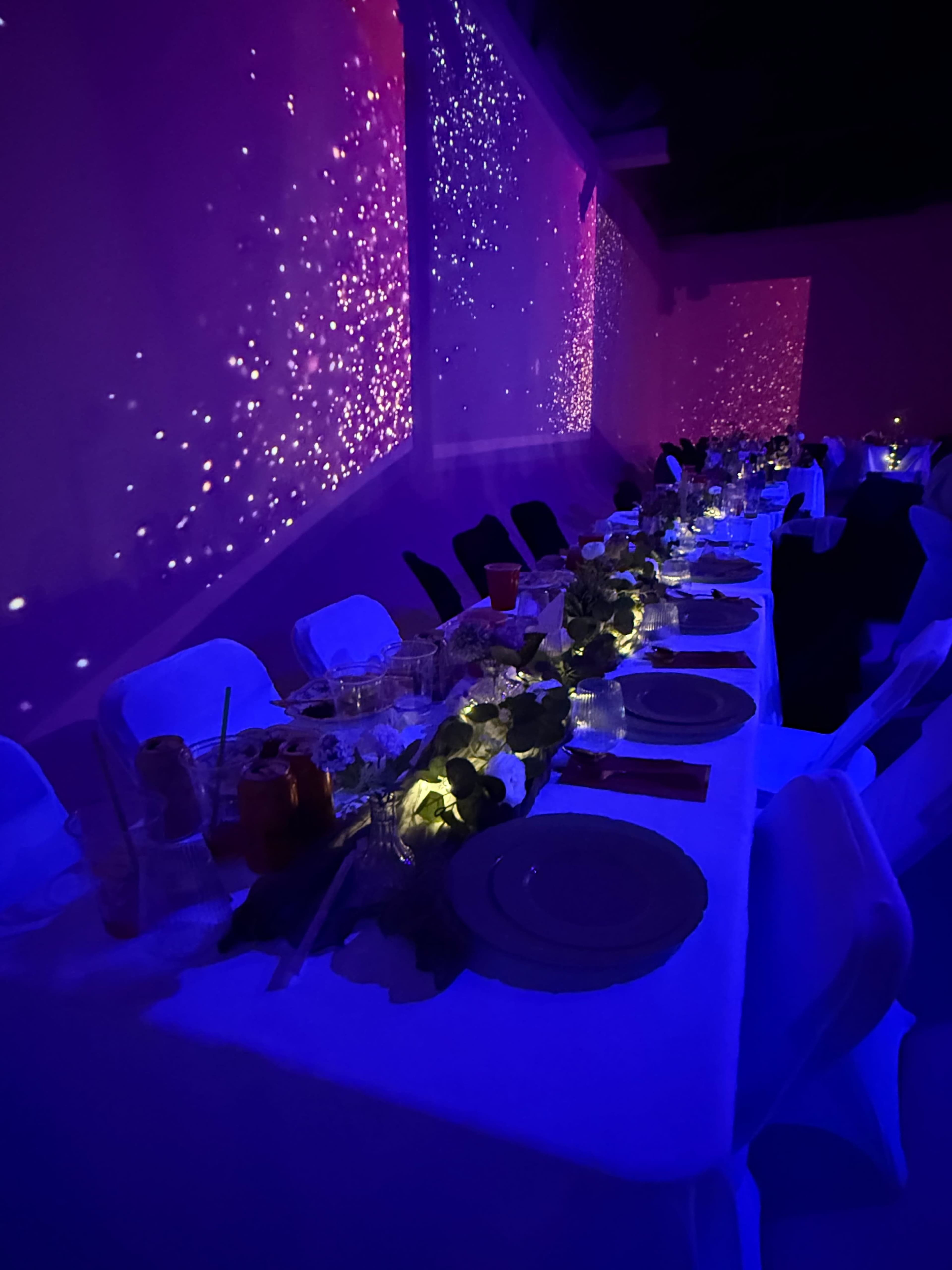 A long dining table is set with plates and drinks, surrounded by soft purple and blue lighting that creates a sparkling ambiance on the walls.
