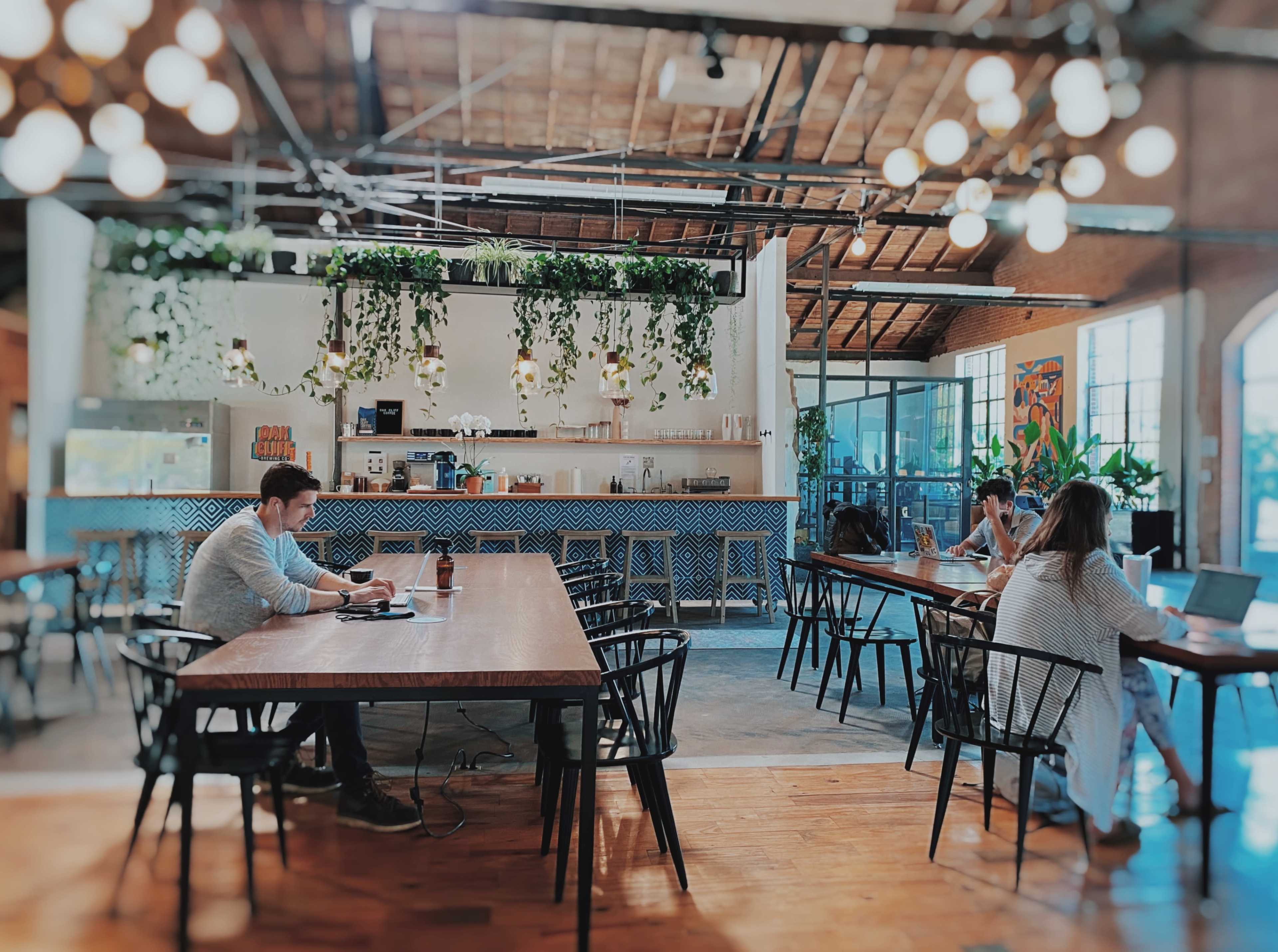 A spacious co-working space featuring several long wooden tables, plants hanging from the ceiling, and individuals working on laptops.