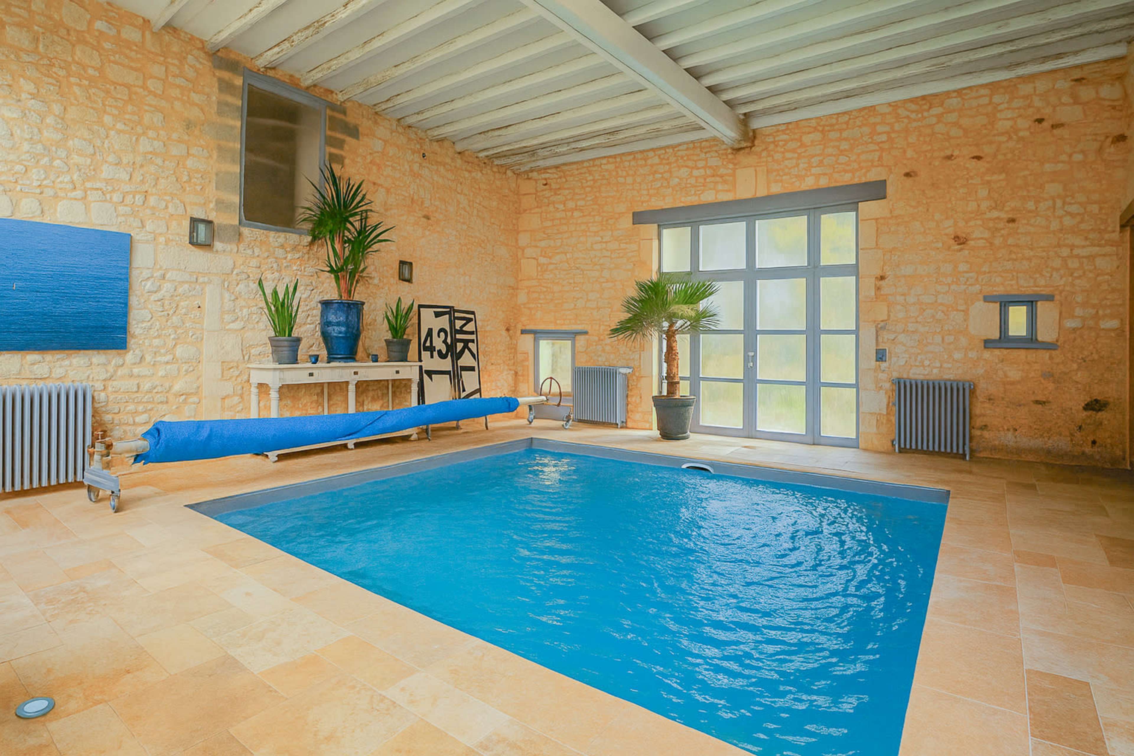 The image shows an indoor swimming pool surrounded by stone walls, with potted plants and a blue artwork on the wall.