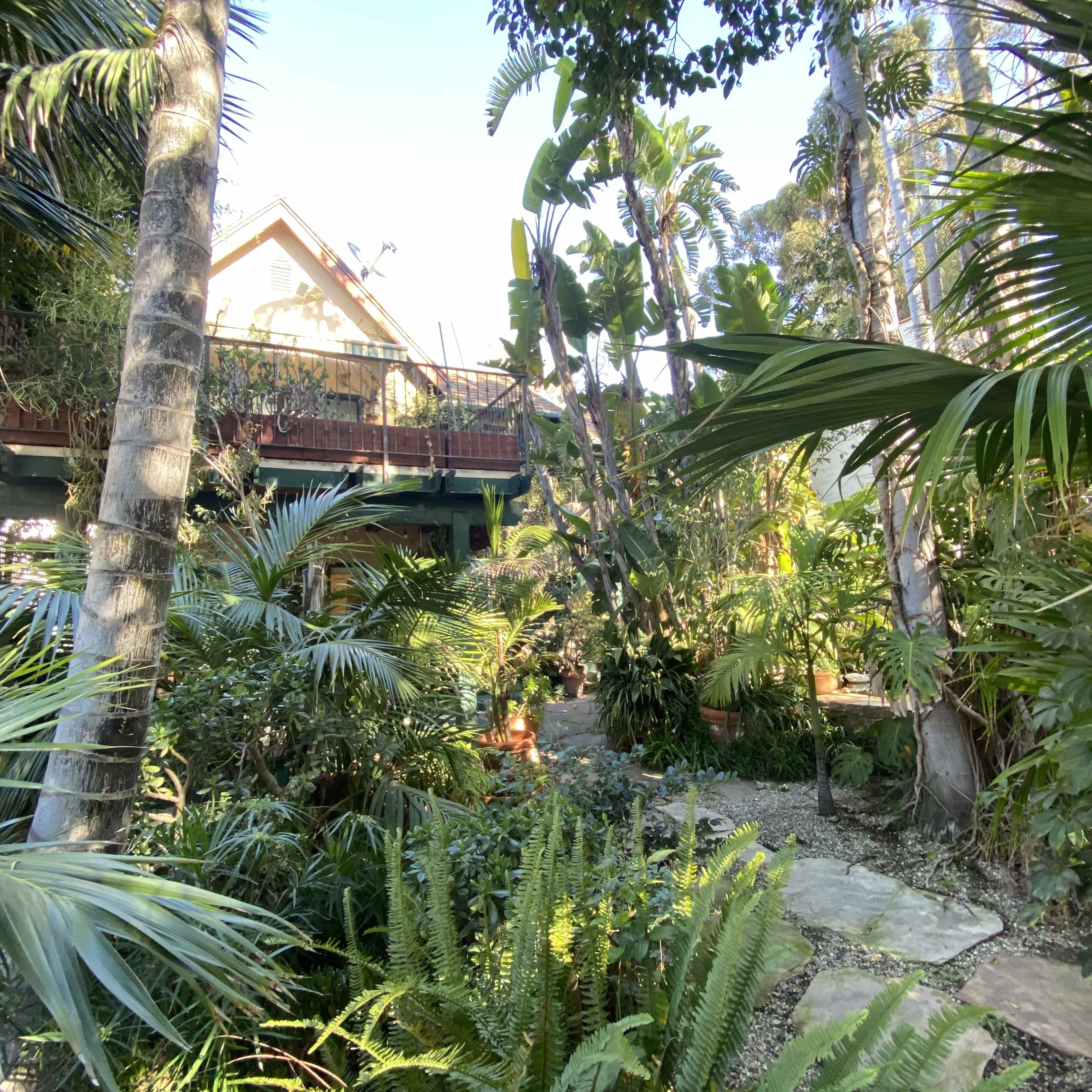 A tropical garden surrounds a wooden house elevated on stilts, with various palm trees and lush greenery.