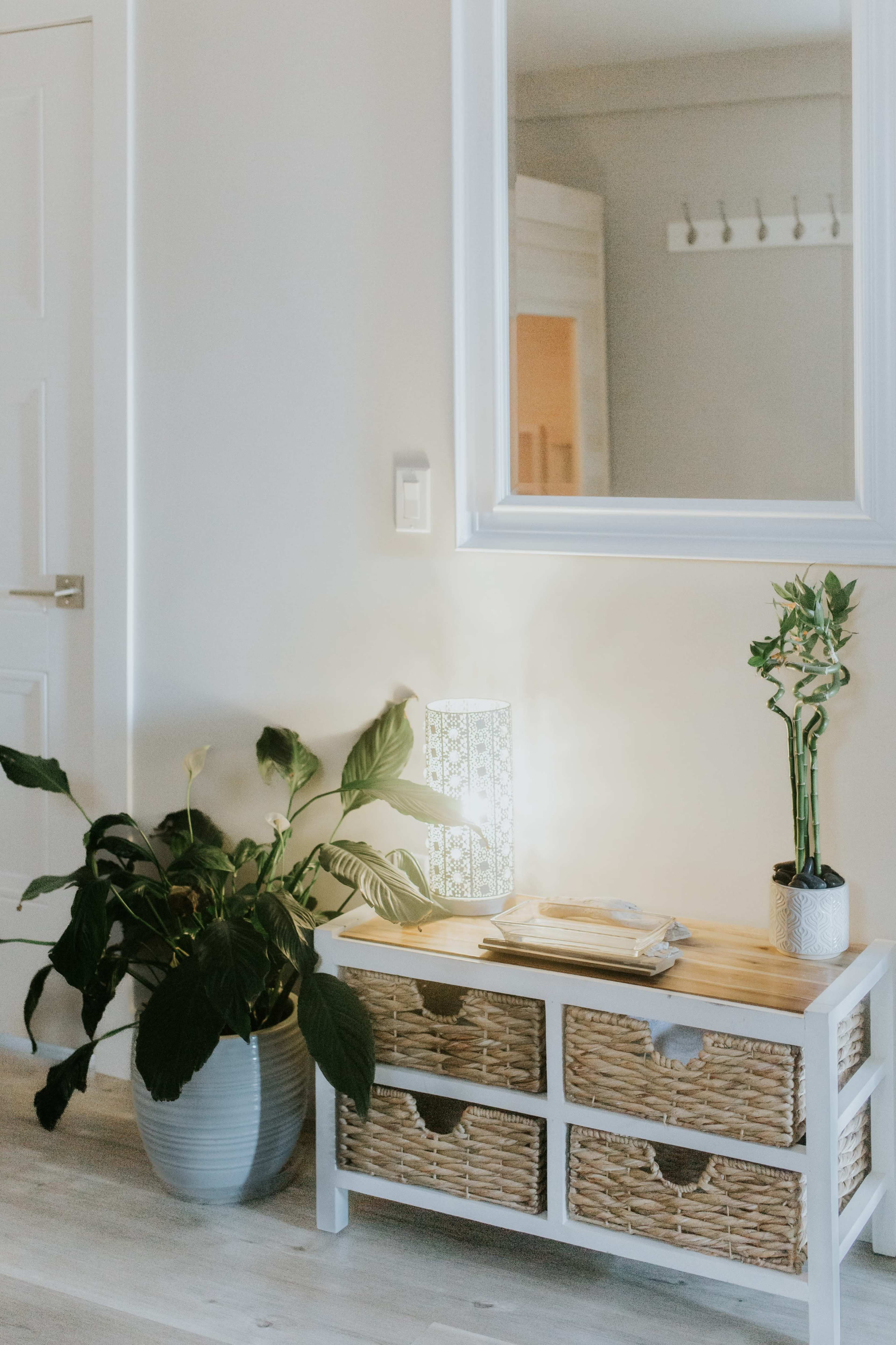 A console table with woven baskets sits beside a large potted plant and a lamp, reflecting light in a well-lit entryway.