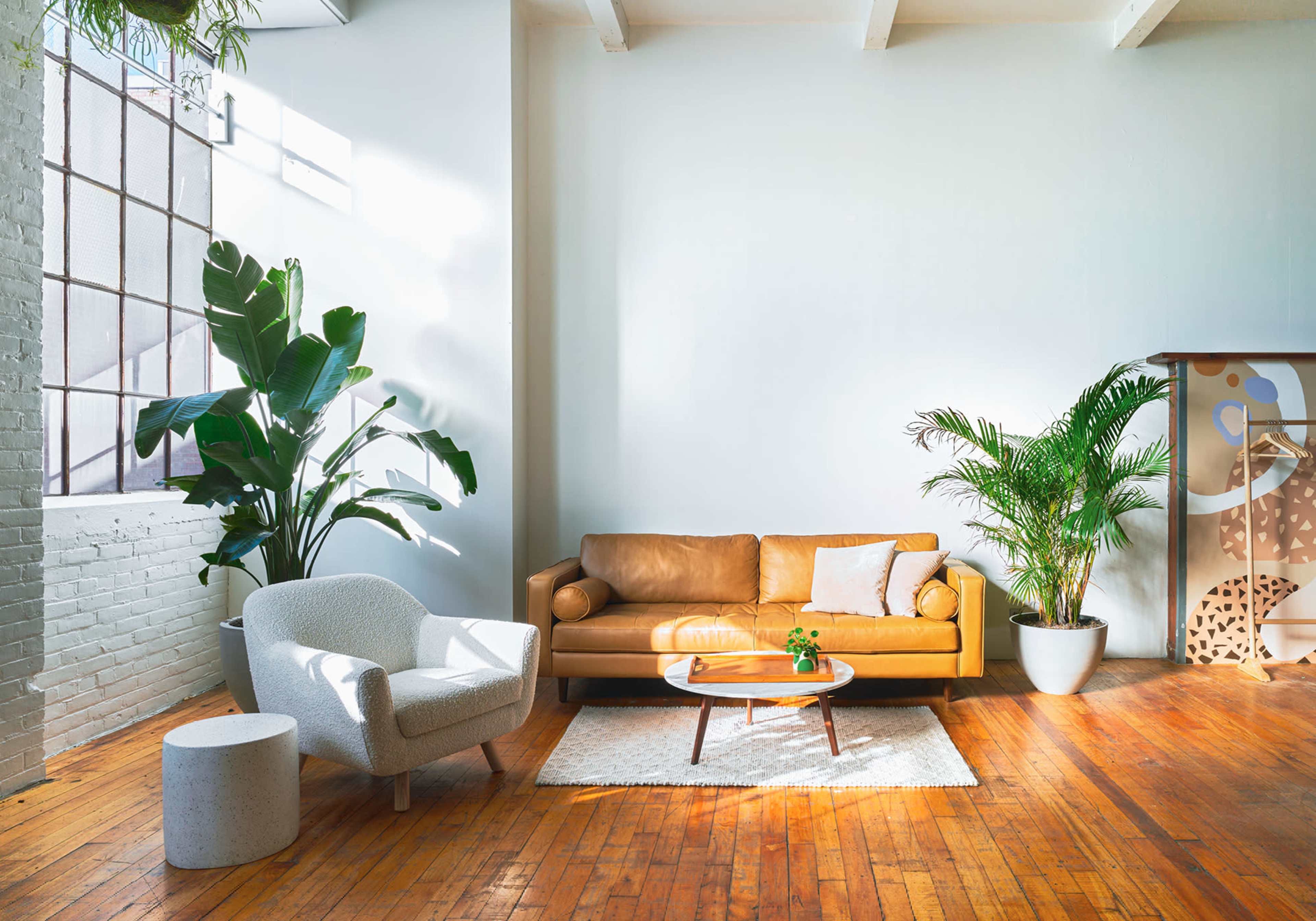 A bright living room features a tan leather sofa, a light-colored armchair, a round coffee table, and large plants against white walls and wooden flooring.