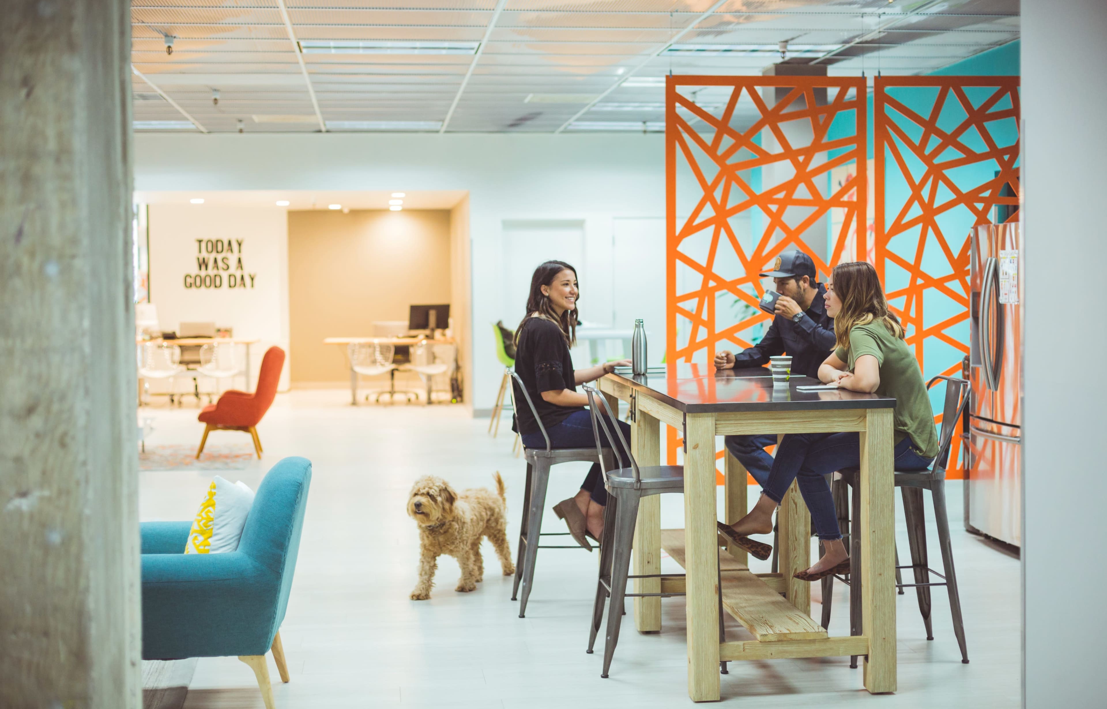 A group of three people sits at a high table in a modern office space while a dog stands nearby.