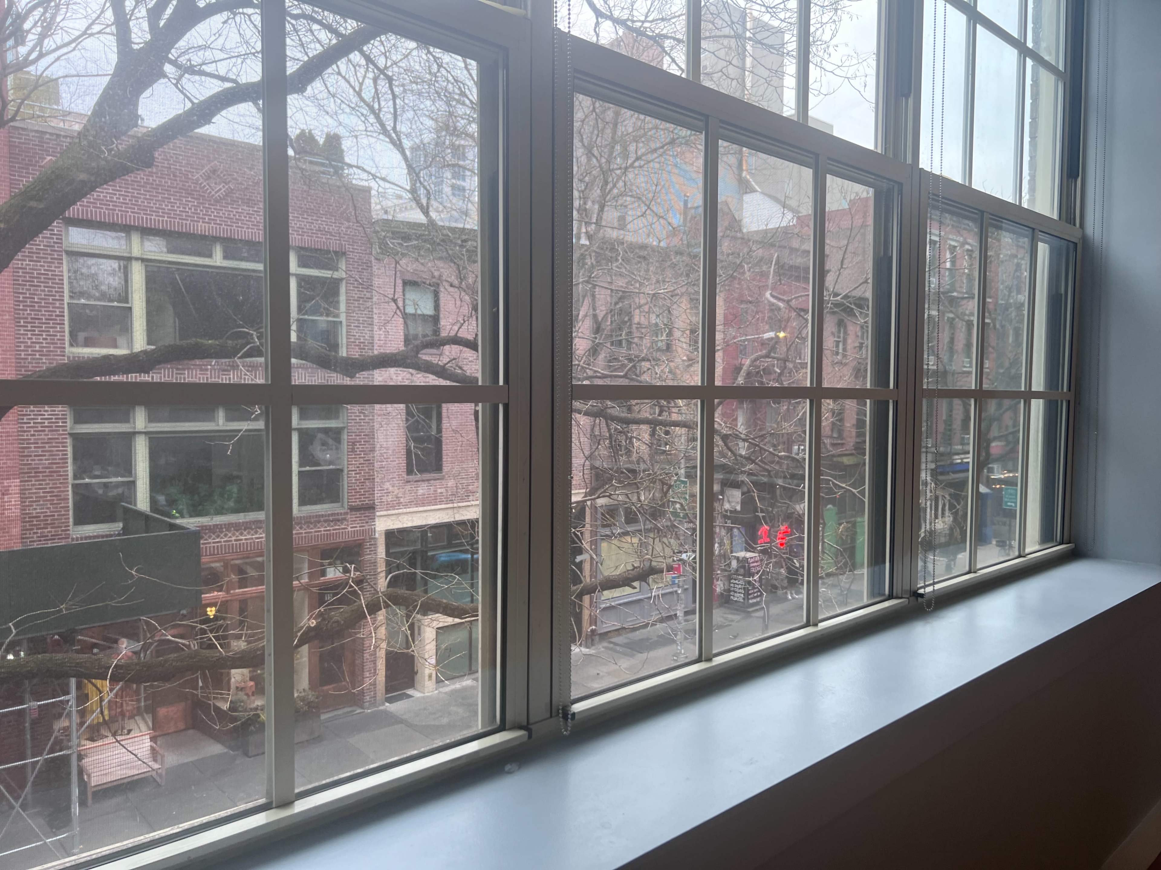 The image shows a view through a large window overlooking a city street with brick buildings and bare trees.