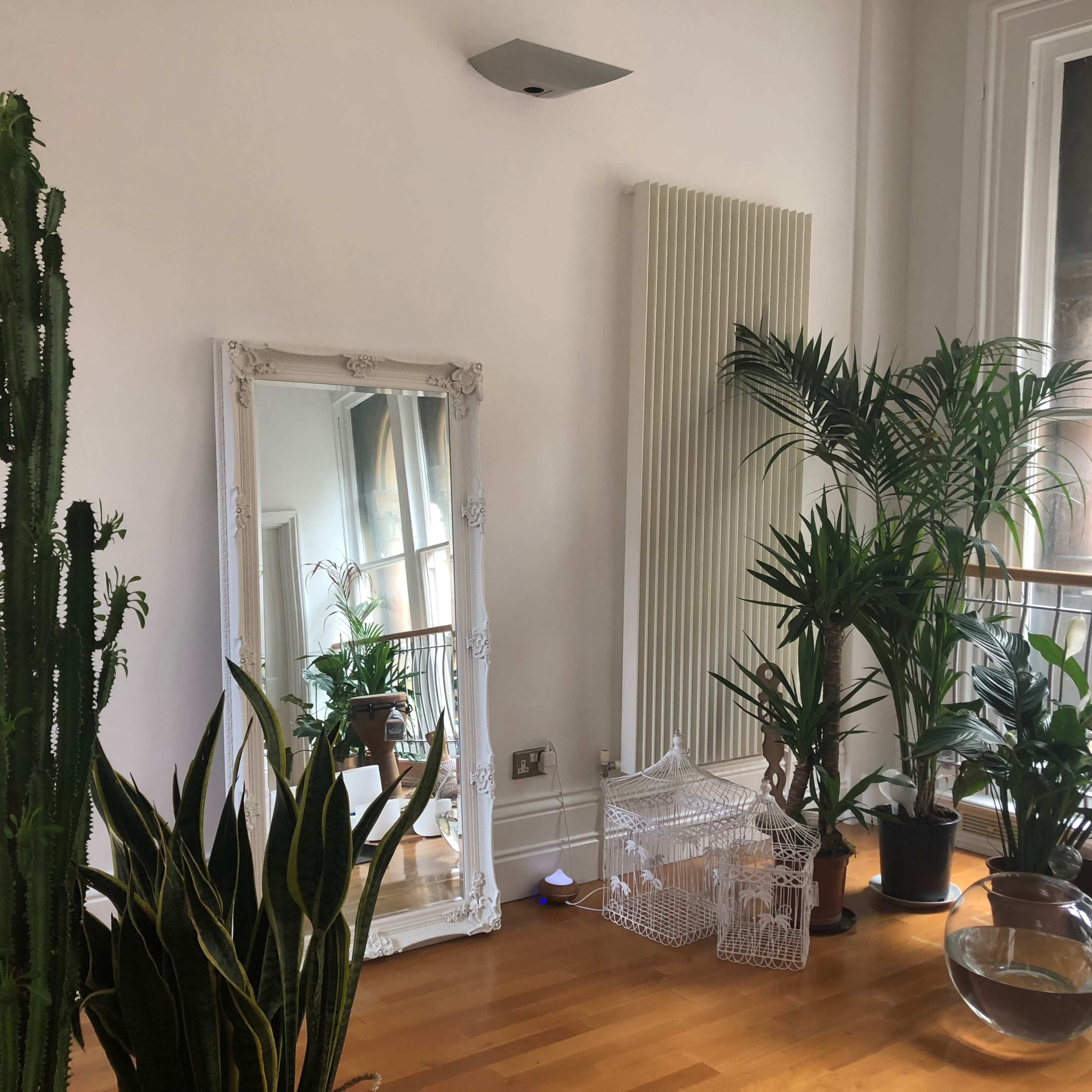 Urban tropical studio penthouse Image in Old City, Bristol