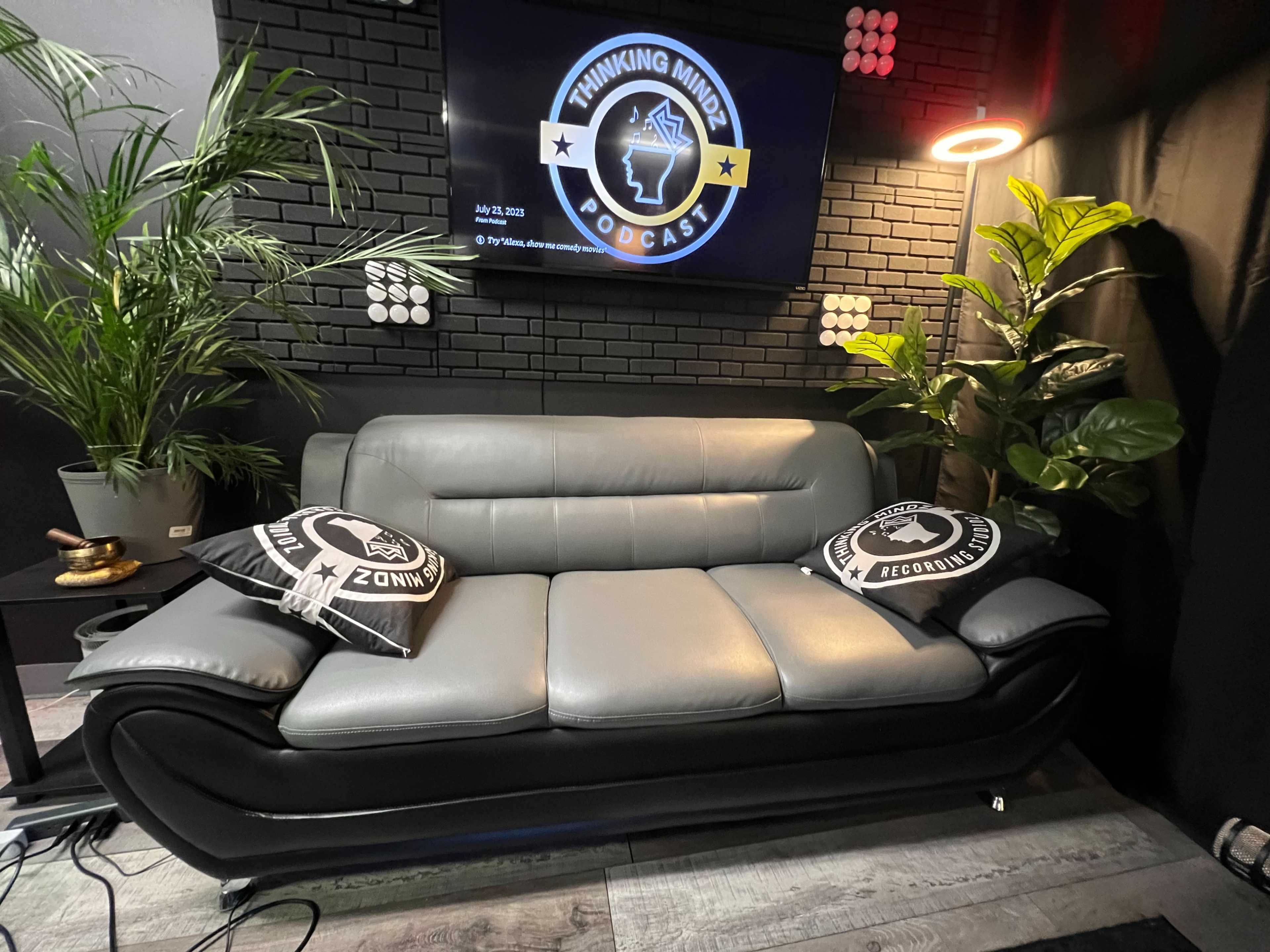A modern gray couch with decorative pillows in a dark, stylish setting featuring a plant and a television displaying a podcast logo on the wall.
