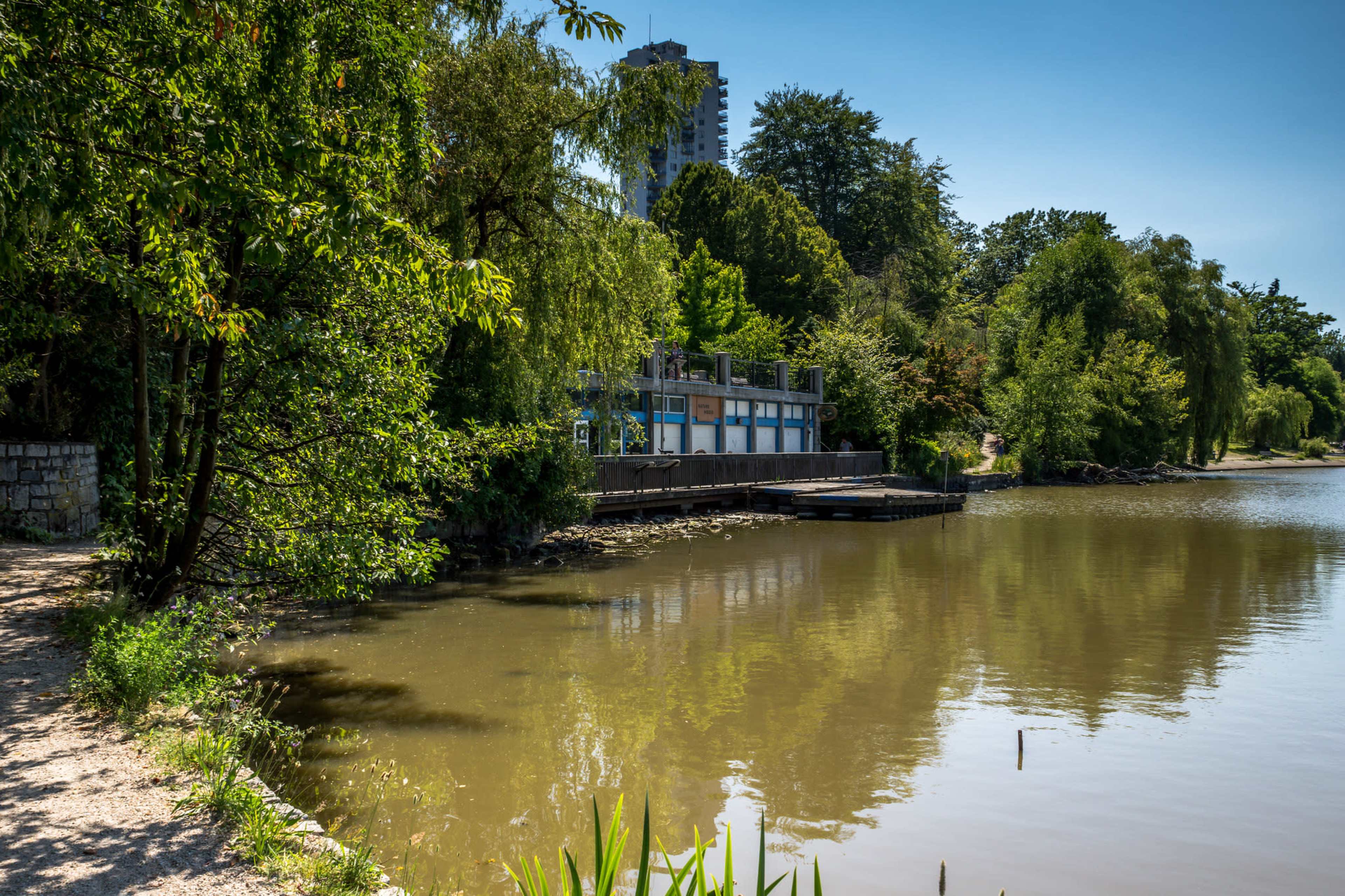 The scene features a calm body of water reflecting surrounding greenery and a wooden dock next to a path along the shore.