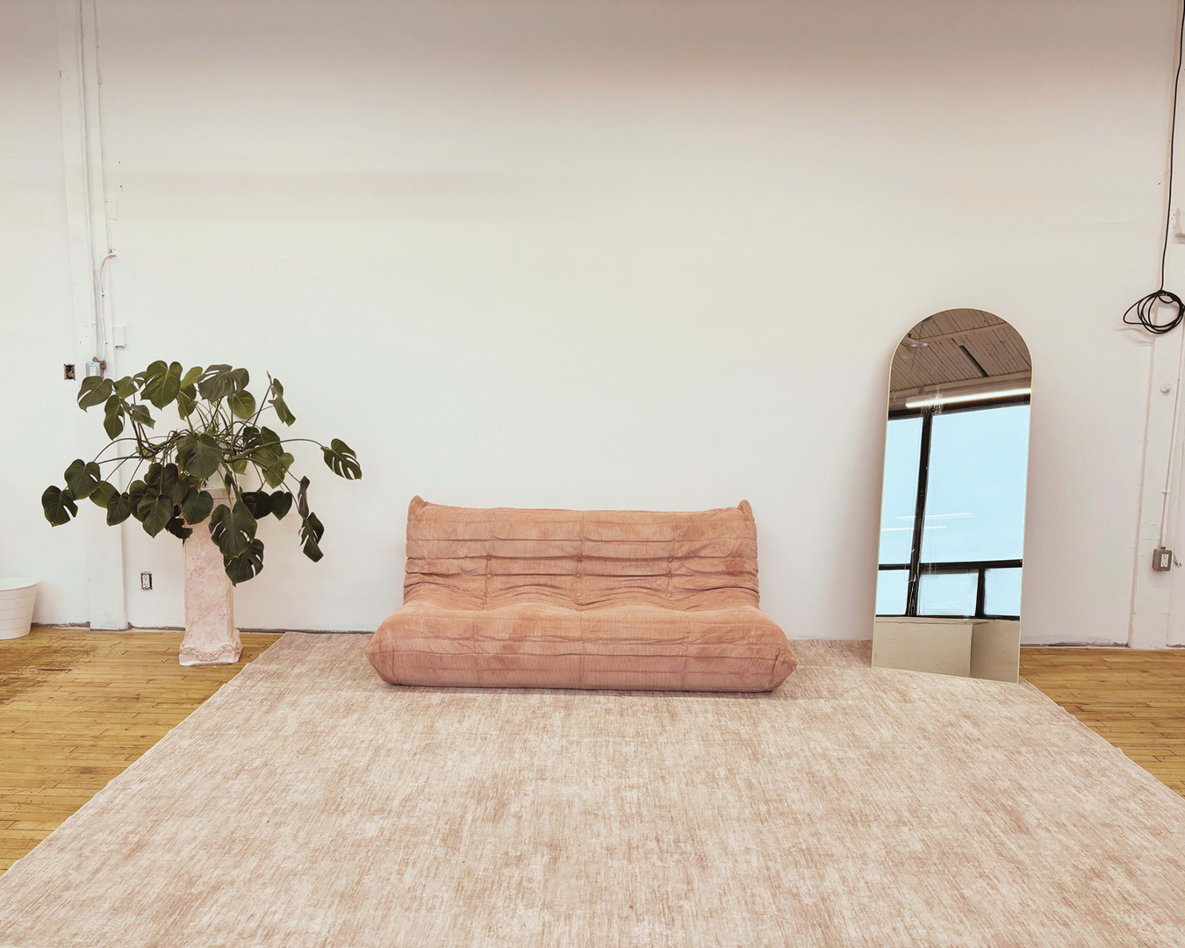 The image shows a minimalist interior with a pink sofa, a tall plant in a white pot, a large mirror, and a light-colored rug on a wooden floor.