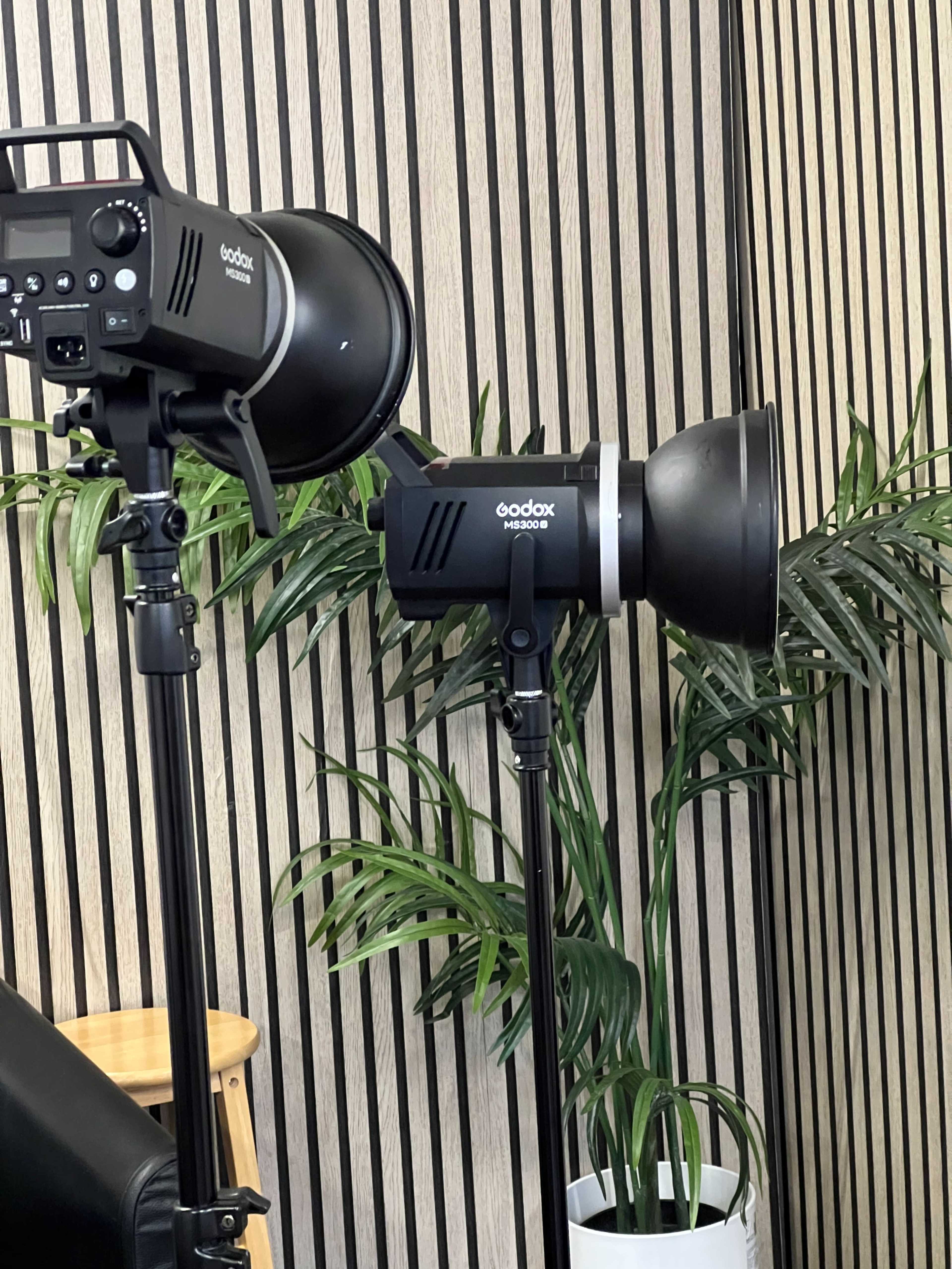The image shows two Godox studio lights positioned next to green indoor plants against a backdrop of vertical wooden slats.